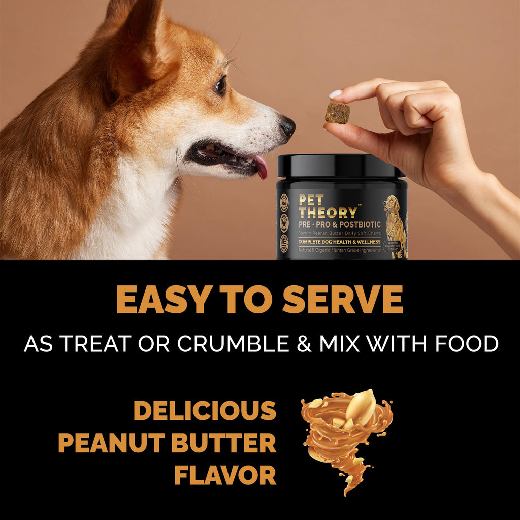Pet Theory Probiotics for Dogs. Dog Digestive Health-Pre Pro and Postbiotic Combination-Pet Supplements for Gut Health-Supports Digestion, Boost Immunity-100CT Soft Chews Pet Theory Au supplements