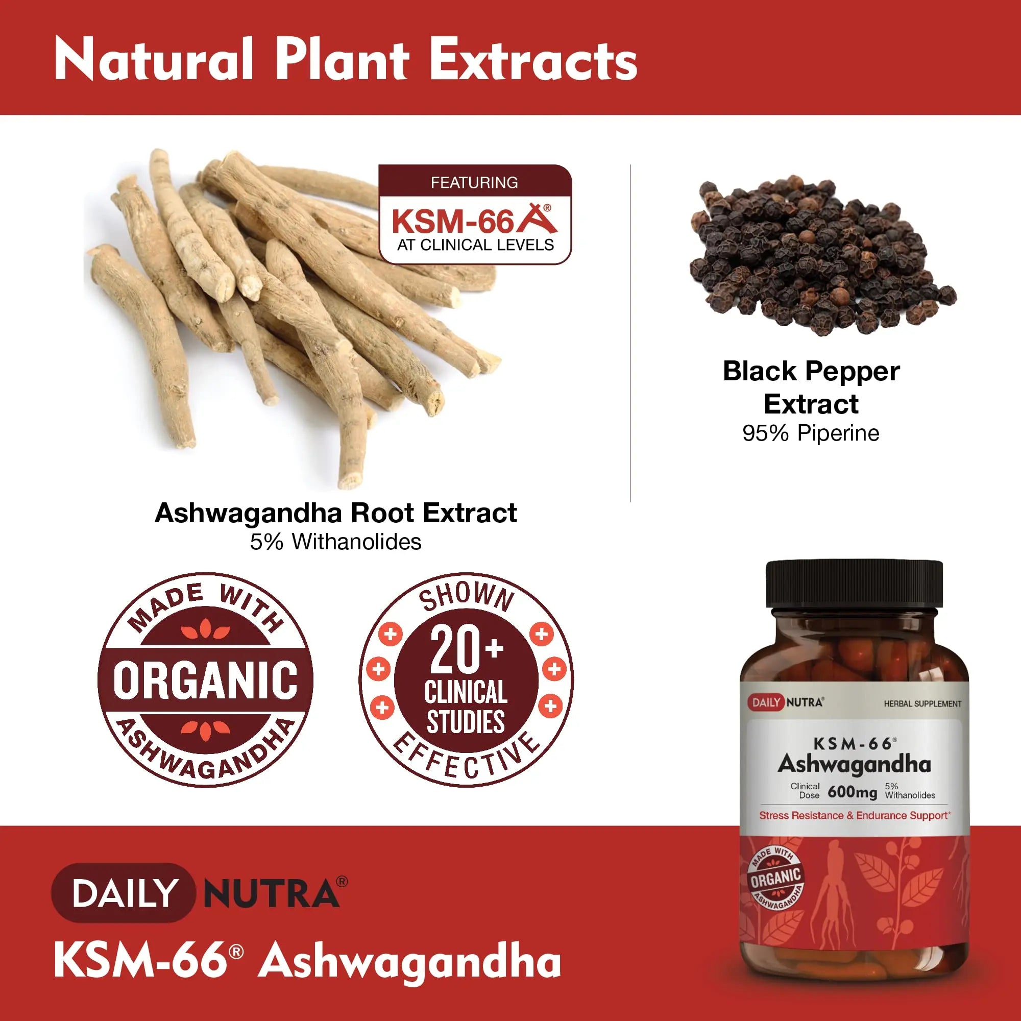 DailyNutra KSM-66 Ashwagandha 600mg Organic Root Extract - High Potency Supplement DailyNutra Au supplements