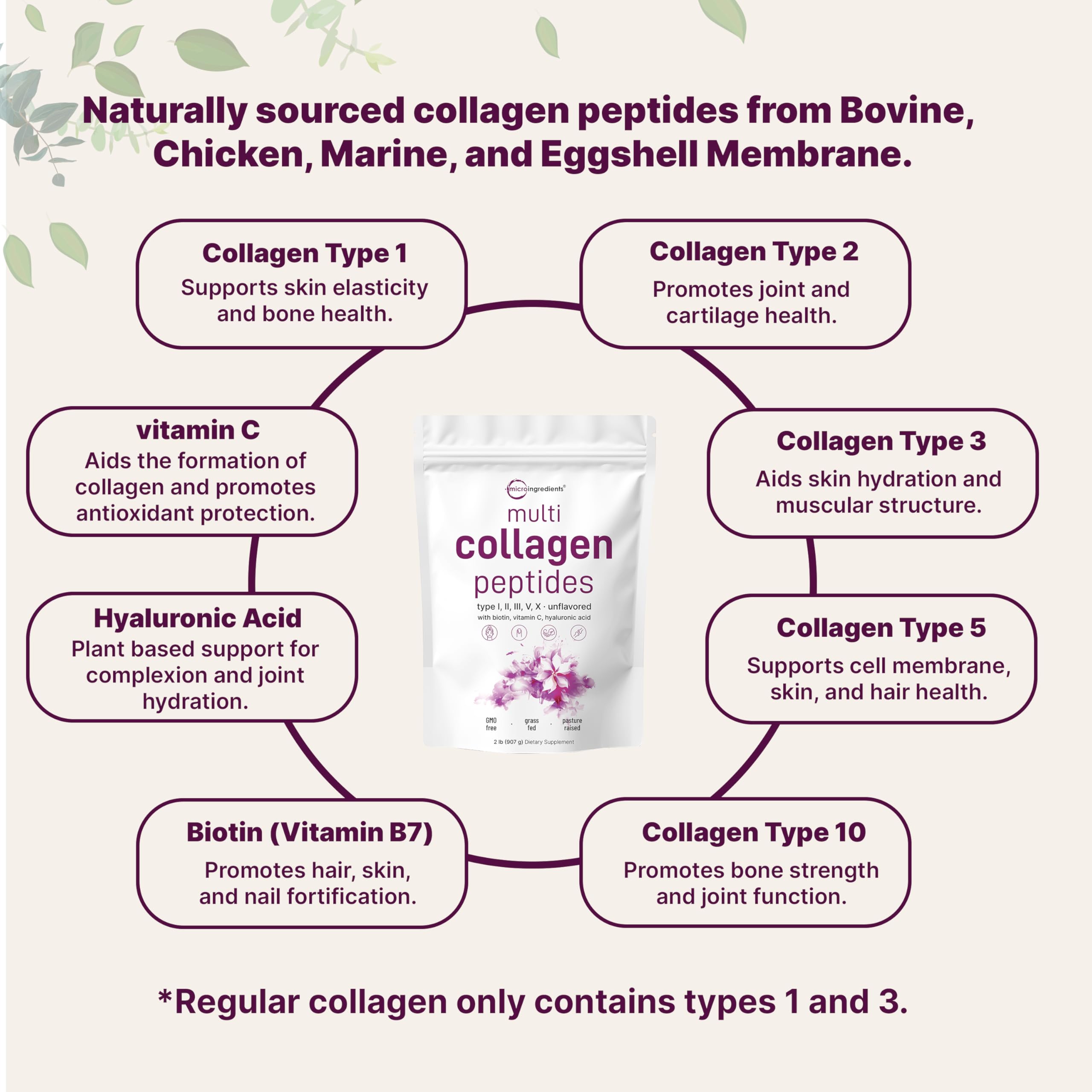 Micro Ingredients Multi Collagen Peptides Powder, 2lb – Hydrolyzed Type I,II,III,V,X with Biotin, Hyaluronic Acid, Vitamin C – Unflavored Collagen for Women & Men