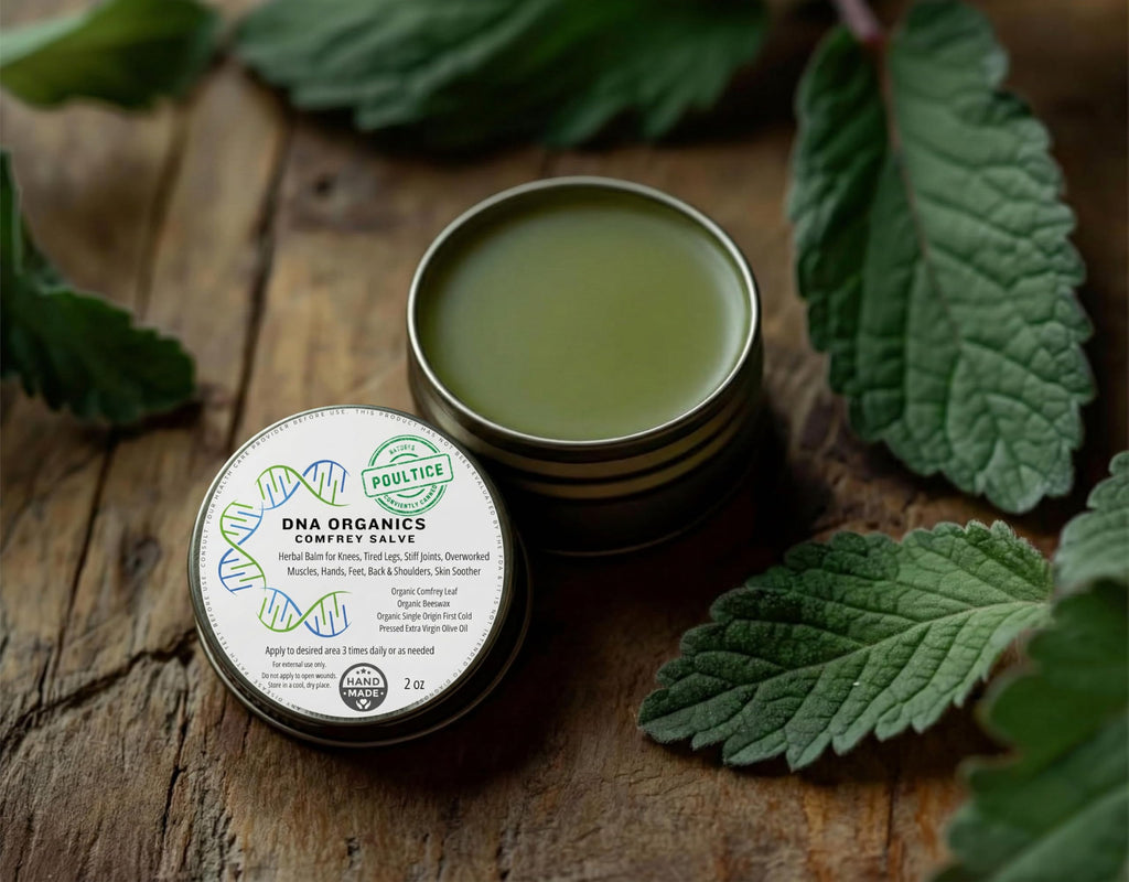 DNA Organics Comfrey Salve Ointment 2oz – Organic Herbal Salve for Bones, Muscles, Joints, Knees, Skin & Tattoo Care. Herbal Balm for Soothing Relief. Handcrafted, Slow-Infused, No Chemical Fillers Wild Castle Au supplements