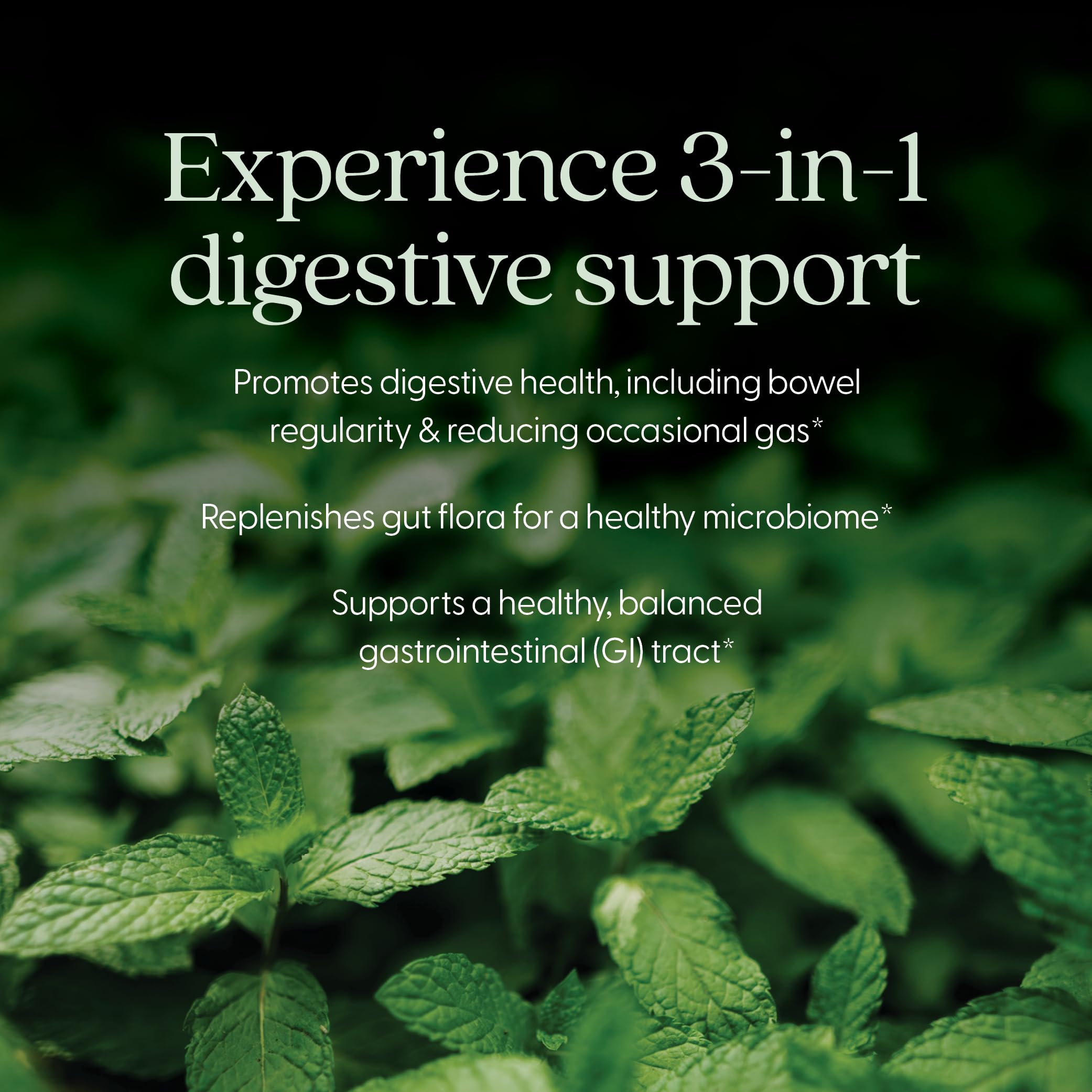 New Chapter All-Flora Probiotic for Advanced Digestion & Complete Gut Health with Prebiotics + Postbiotics, Clinical-Strength Strains, 100% Vegetarian, Non-GMO, Shelf Stable - 60 ct (2 Month Supply) New Chapter Au supplements