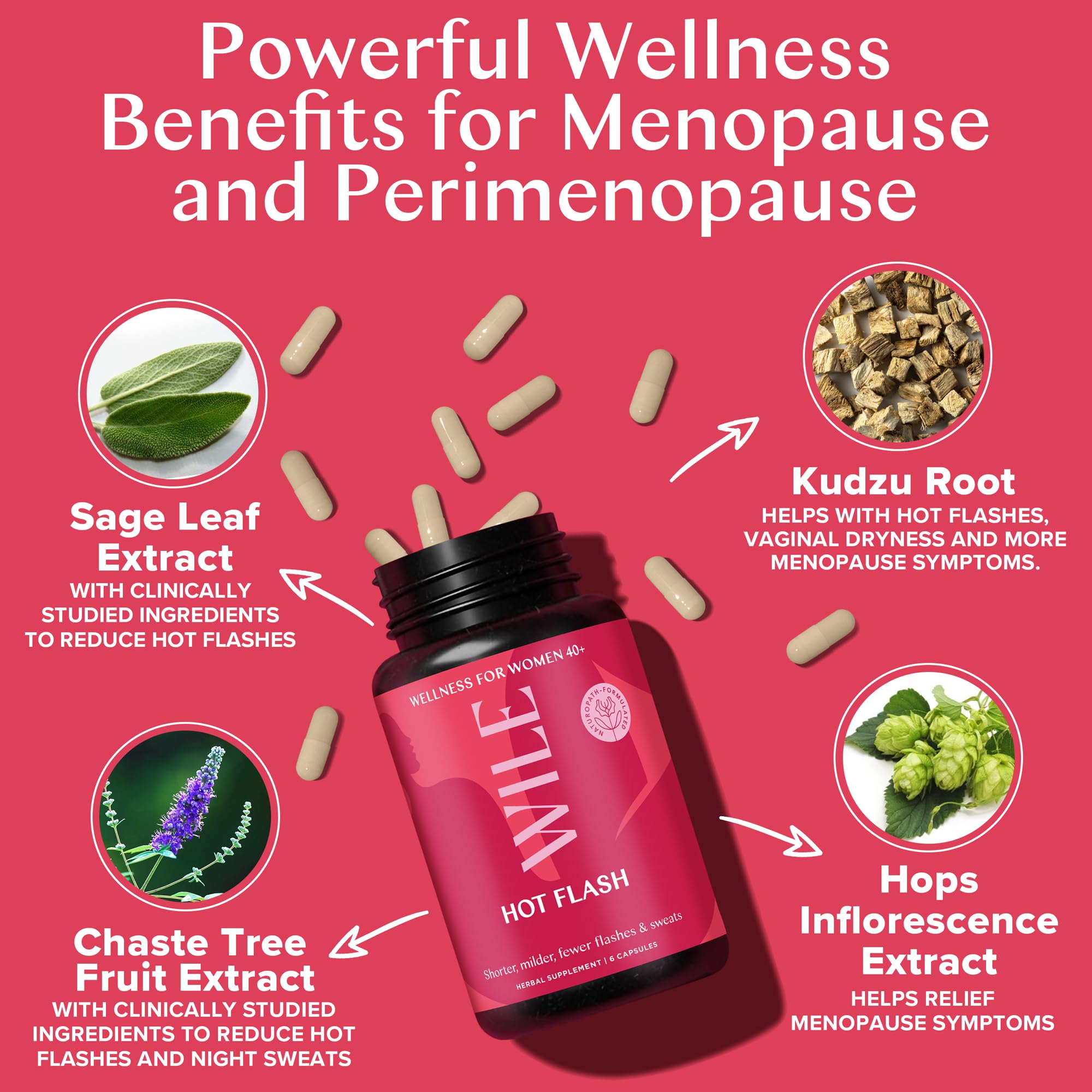 WILE Menopause and Perimenopause Supplements for Women - Hot Flashes and Night Sweats Relief with Kudzu Root - Premenopause Support for Stress, Hot Flash, Hormone Balance & Restful Sleep, 30 Servings WILE Au supplements