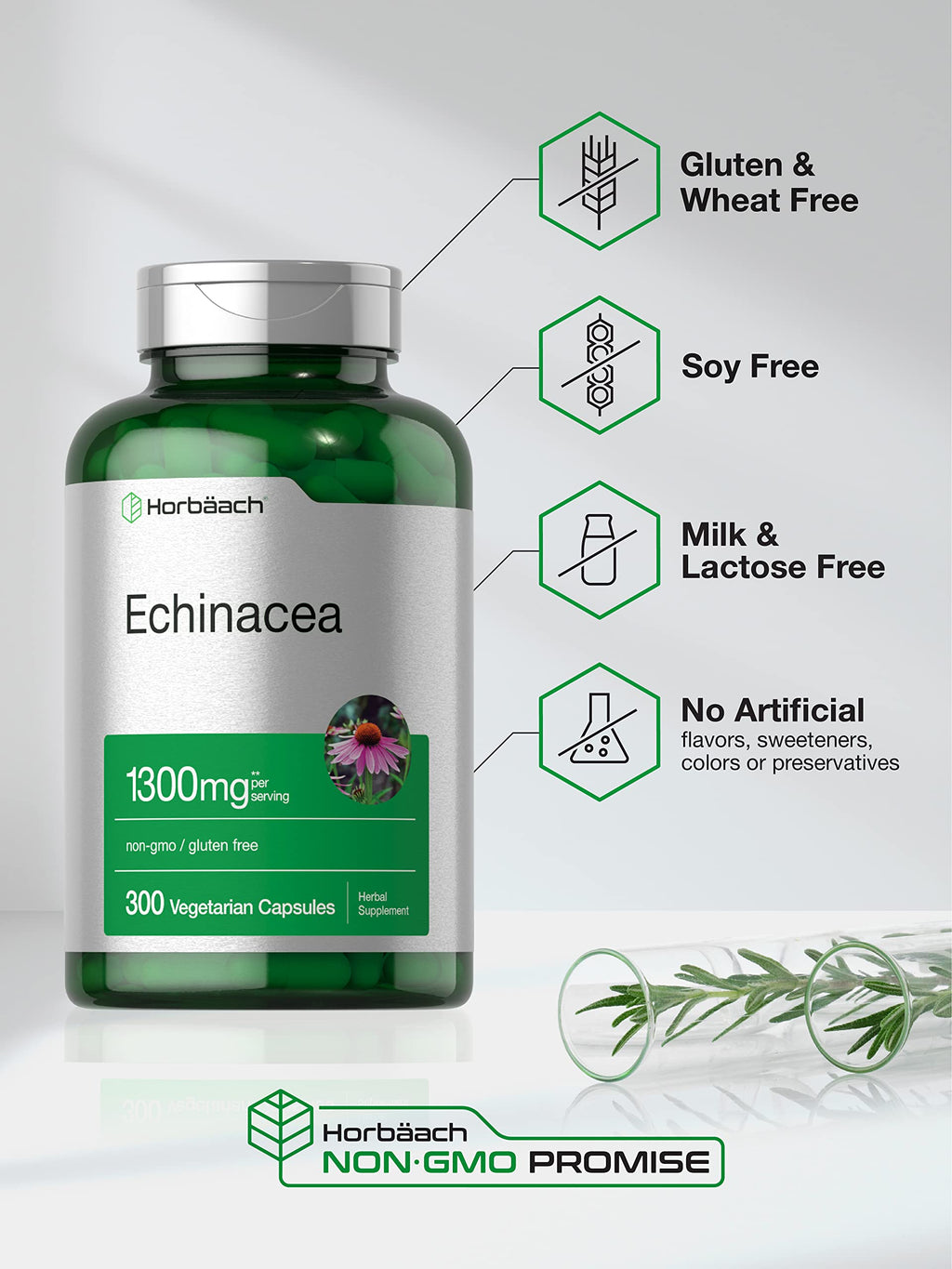 Horbäach Echinacea Extract Capsules | 300 Count | Vegan, Non-GMO, Gluten Free Supplement
