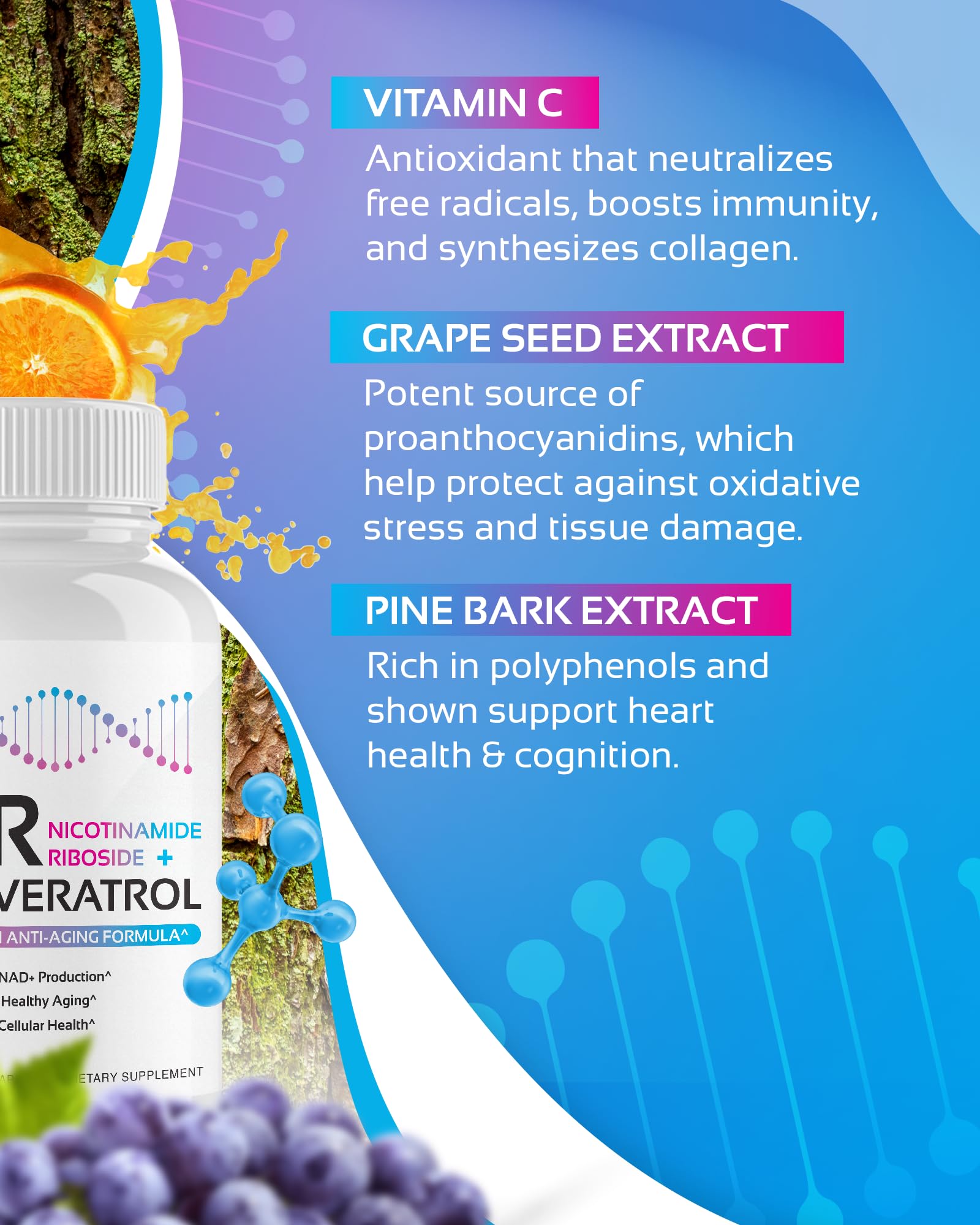 NR + Resveratrol Supplement - Increase NAD, DNA & Cellular Health, Longevity, Vitality. 5-in-1 Anti Aging Formula w/ Nicotinamide Riboside, Trans Resveratrol, Vitamin C, Grape Seed, Pine Bark CogniTune Au supplements