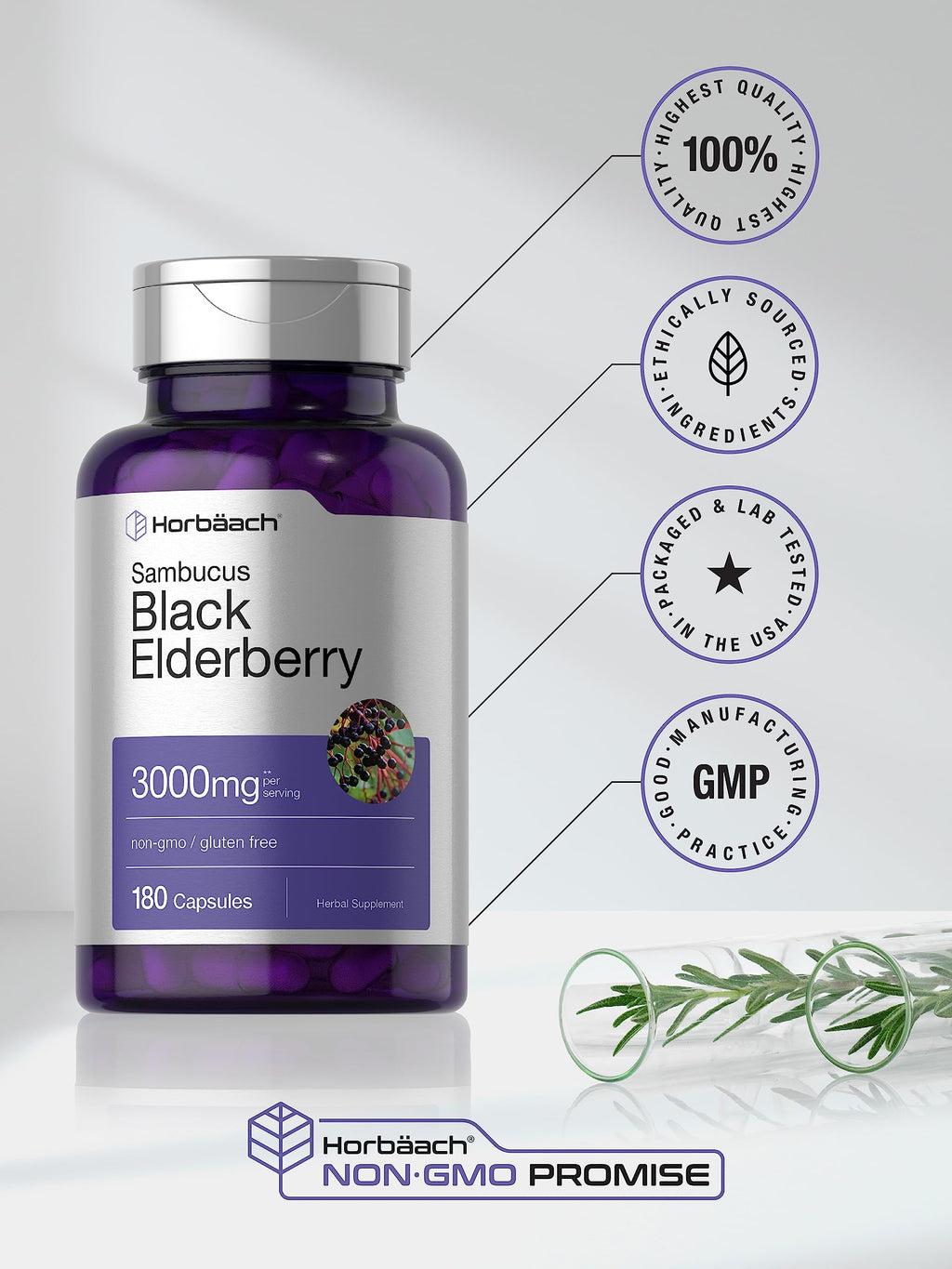 Horbäach Black Elderberry | 180 Count | Non-GMO, Gluten Free | Sambucus Extract Supplement