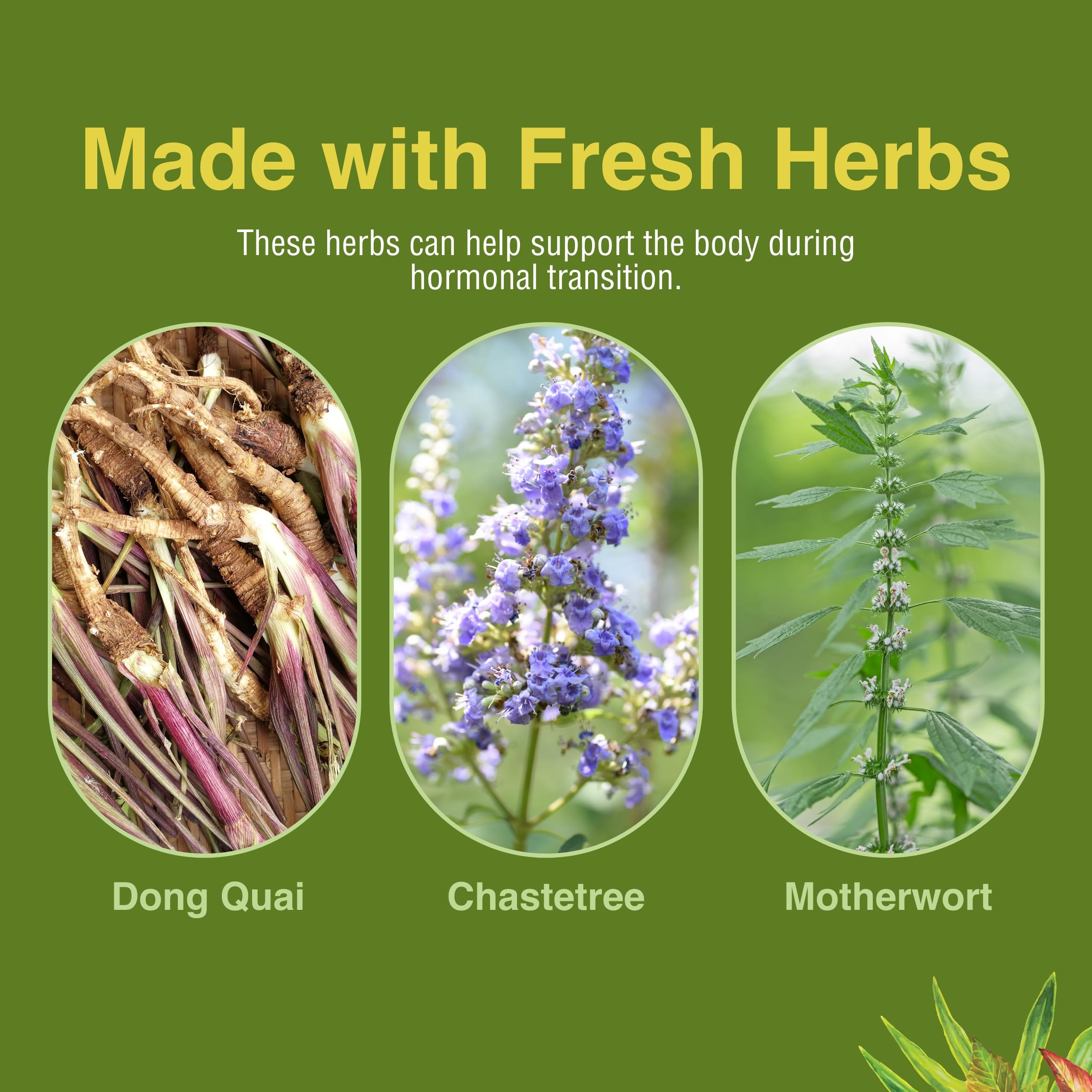 Herbs Etc. Menopautonic Softgels - Essential Supplement for Women - Hormonal Transition Support Supplement - Offers Menopausal Support with Dong Quai & Motherwort - 120 Softgels (120 Servings) Herbs Etc. Au supplements