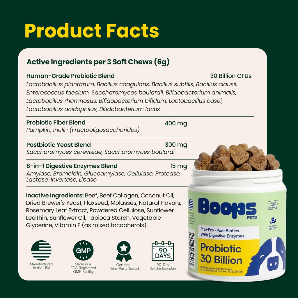 Boops Pets Probiotics for Dogs – 30 Billion CFU with Pre, Postbiotics & Digestive Enzymes – Supports Gut Health, Immunity, Loose Stools & Allergies – Filet Mignon Flavor – Vet Formulated – 60 Chews Boops Pets Au supplements