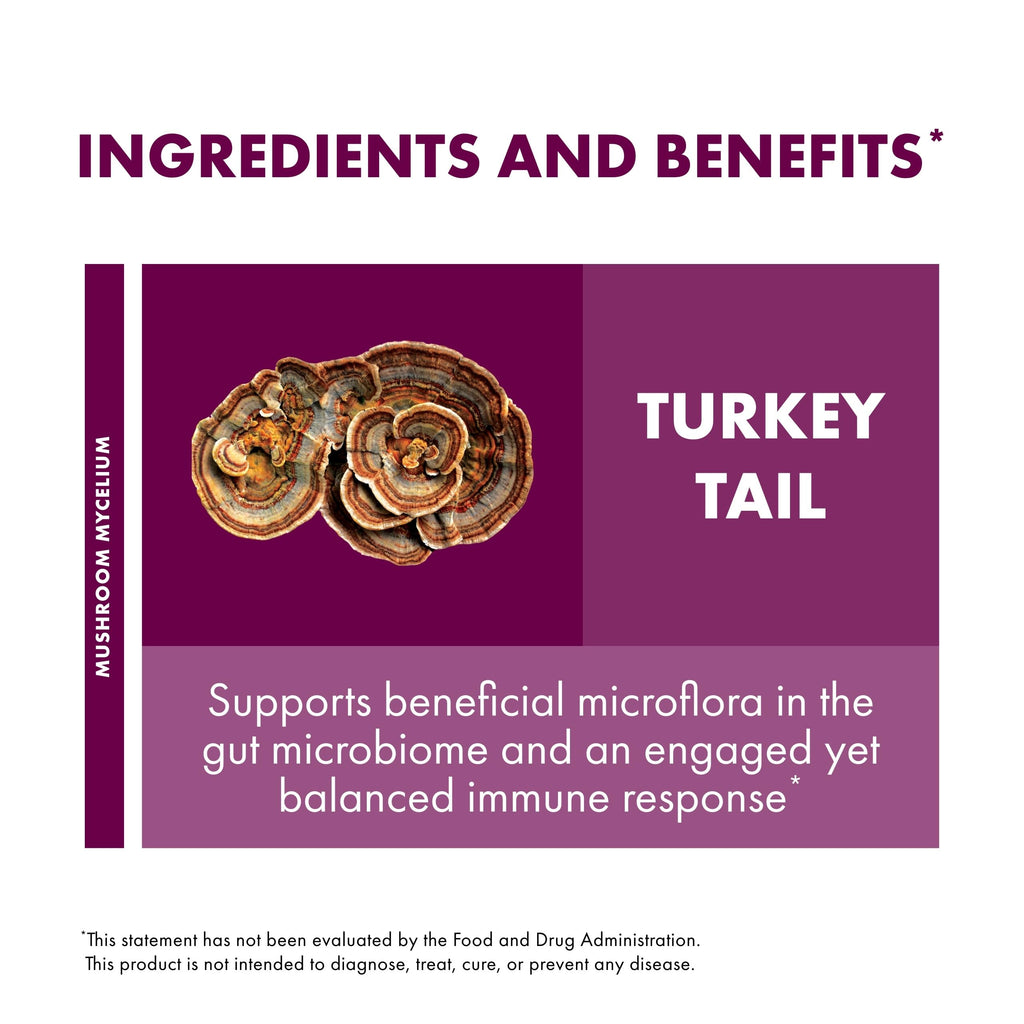 Host Defense Turkey Tail Capsules - Digestive Health & Immune Response Support Supplement - Mushroom Supplement for Gastrointestinal