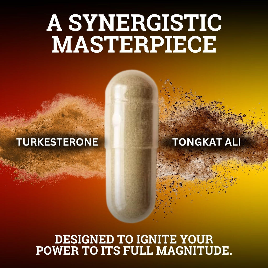 Black Forest Turkesterone Tongkat Ali Supplement 1000mg per Serving (Max Purity 95%) Turkesterone Supplement for Men (Tongkat Ali for Men Longjack 200:1) Similar to Tongkat Ali Fadogia Agrestis Black ForestBuy Supplements Australia