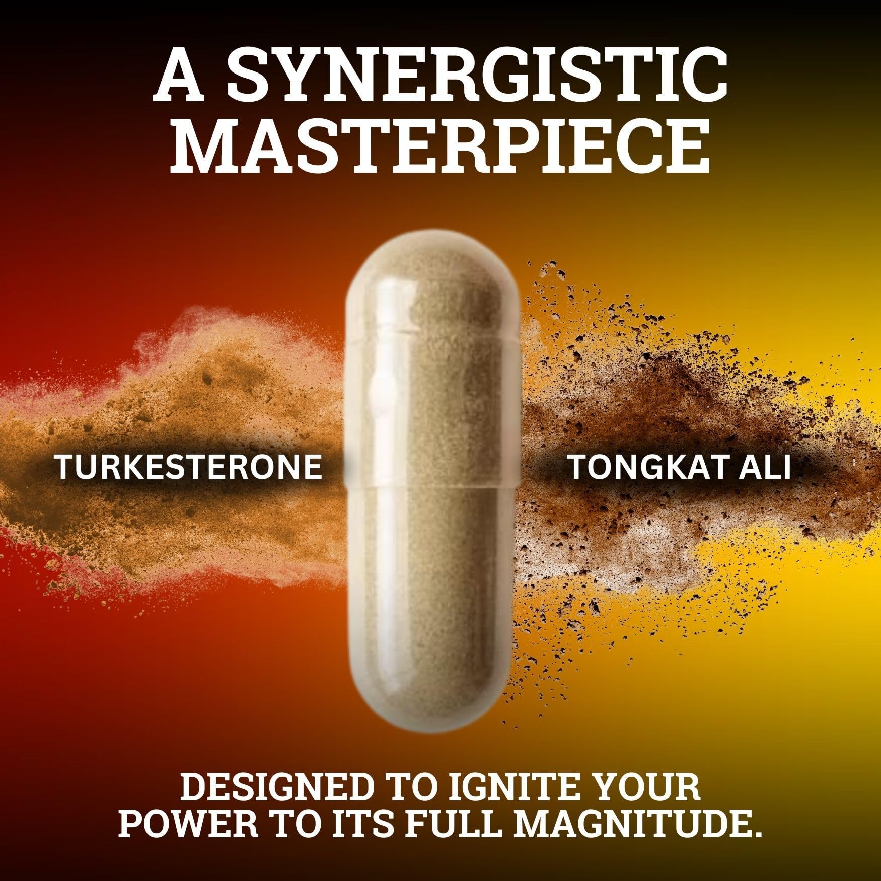 Black Forest Turkesterone Tongkat Ali Supplement 1000mg per Serving (Max Purity 95%) Turkesterone Supplement for Men (Tongkat Ali for Men Longjack 200:1) Similar to Tongkat Ali Fadogia Agrestis Black ForestBuy Supplements Australia