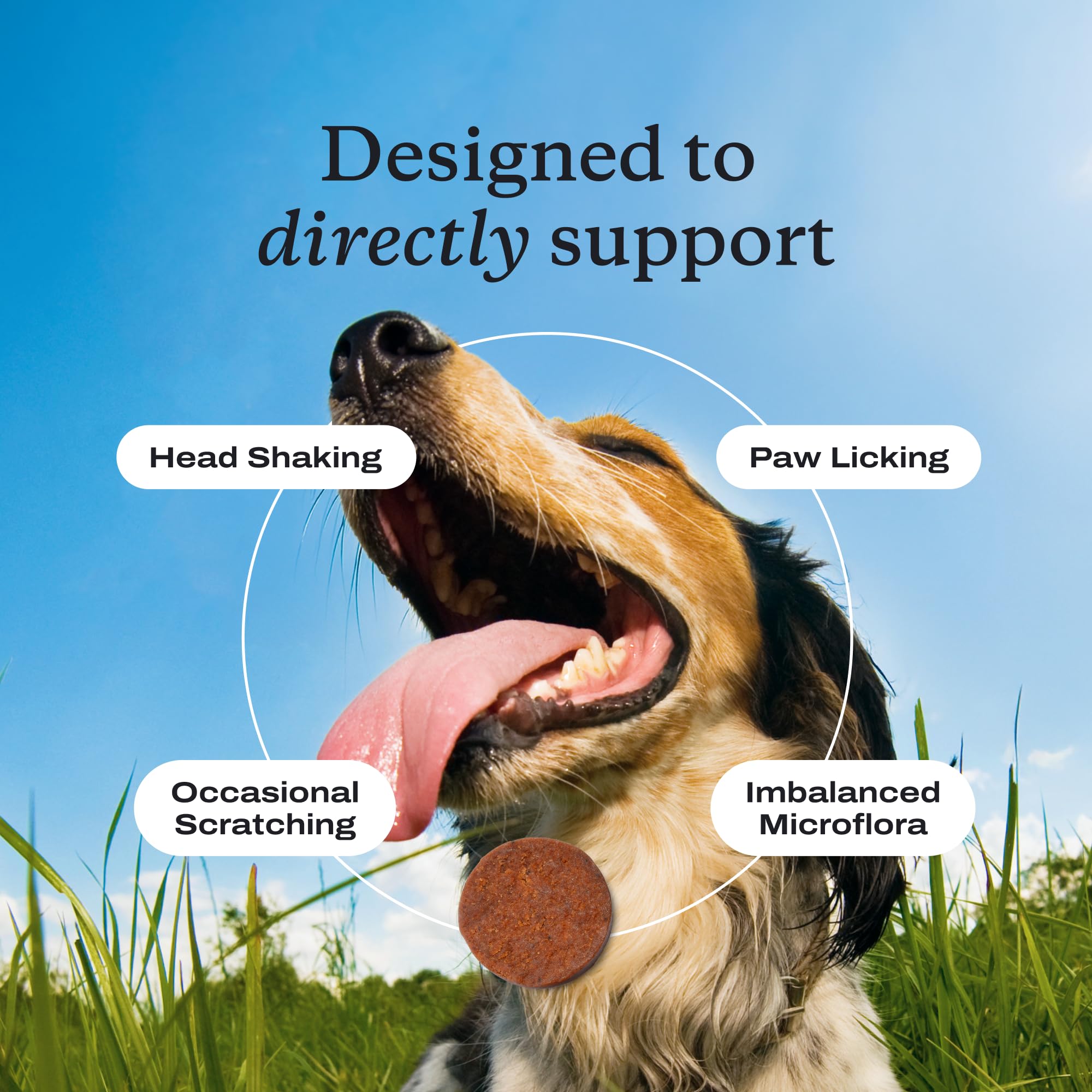 PetLab Co. Allergy & Immune Probiotics for Dogs, Support Seasonal Allergies, Gut & Digestive Health - Pork Flavor - 30 Soft Chews - Packaging May Vary PetLab Co. Au supplements