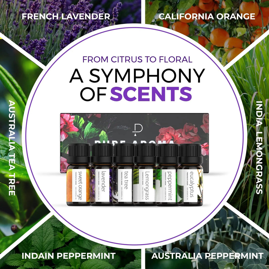 Essential Oils by PURE AROMA 100% Pure Oils kit- Top 6 Aromatherapy Oils Gift Set-6 Pack, 10ML Pure Aroma Au supplements