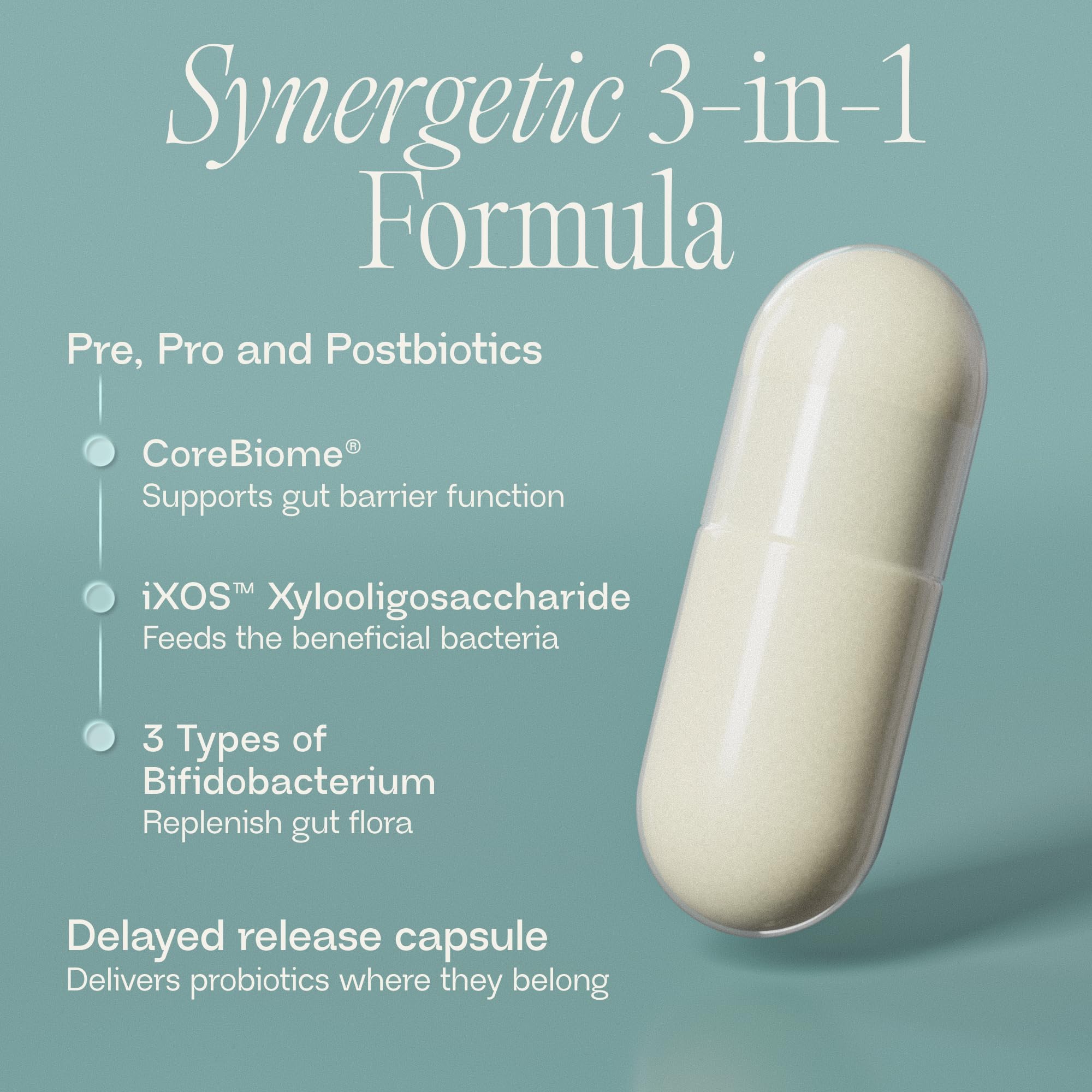BIOMA Probiotics - Digestive Health Probiotic - Gut Support for Men & Women with Xylooligosaccharides, Tributyrin & Bifidobacterium - Vegan & Gluten Free