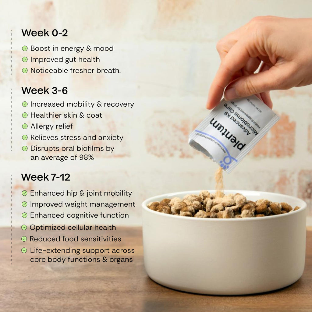 Daily Prebiotic + Postbiotic Dog Supplement Powder | 12-in-1 Support for Gut, Joints, Allergy, Immunity, Calming & Oral Health | Human-Grade Ingredients, No Artificial Flavors-No Fillers - 30 Sachets Plentum Au supplements