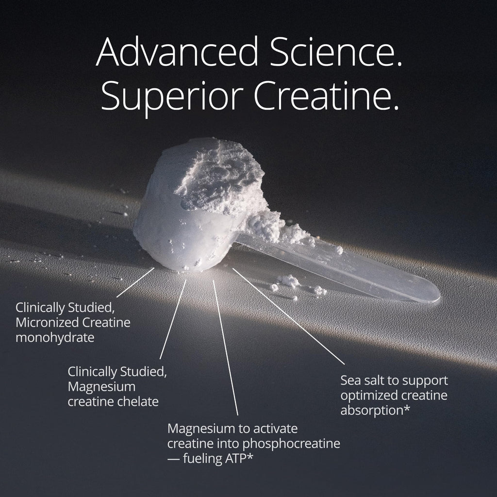 Qualia Creatine | Advanced Creatine Complex | 2 Sources + Magnesium | Optimized Absorption | Muscle Performance, Brain Function, & Healthy Aging (30 Servings) QUALIA LIFE SCIENCES Au supplements
