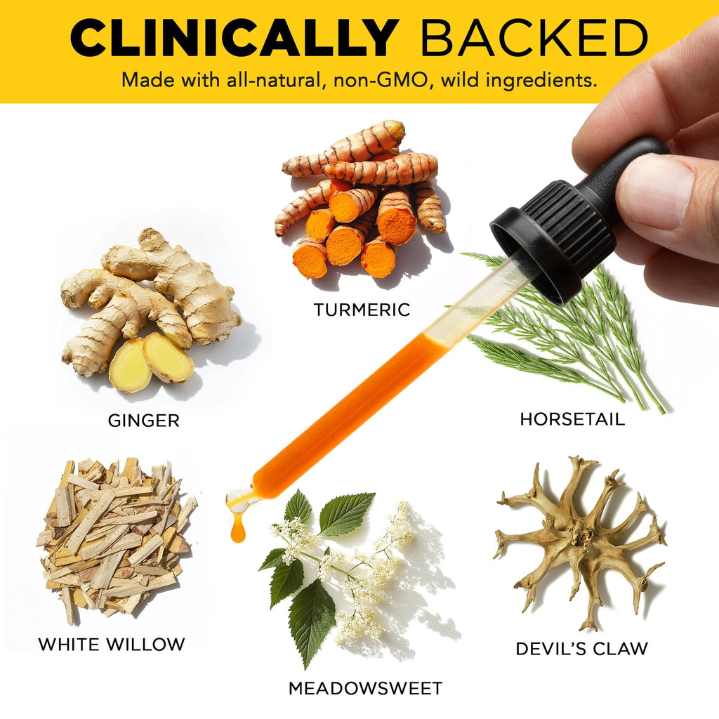 Juicy Joint by Plants Basically – Joint Support Supplement for Mobility, Relief & Recovery |