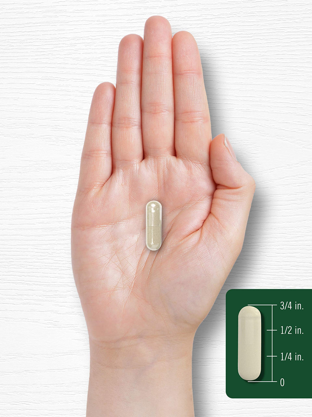 Carlyle Gymnema Sylvestre Capsules | 200 Count | Non-GMO and Gluten Free Supplement