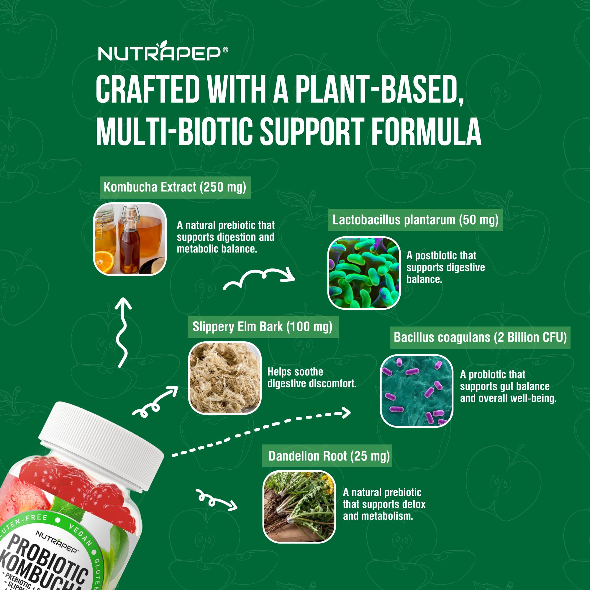 NutraPep Probiotic Kombucha Gummies - Women Men Probiotic Prebiotic Probiotic Blend for Gut Health Bloating Metabolism Support with Slippery Elm Bark Dandelion Root - Vegan Gluten Free Apple Flavor NutraPep Au supplements