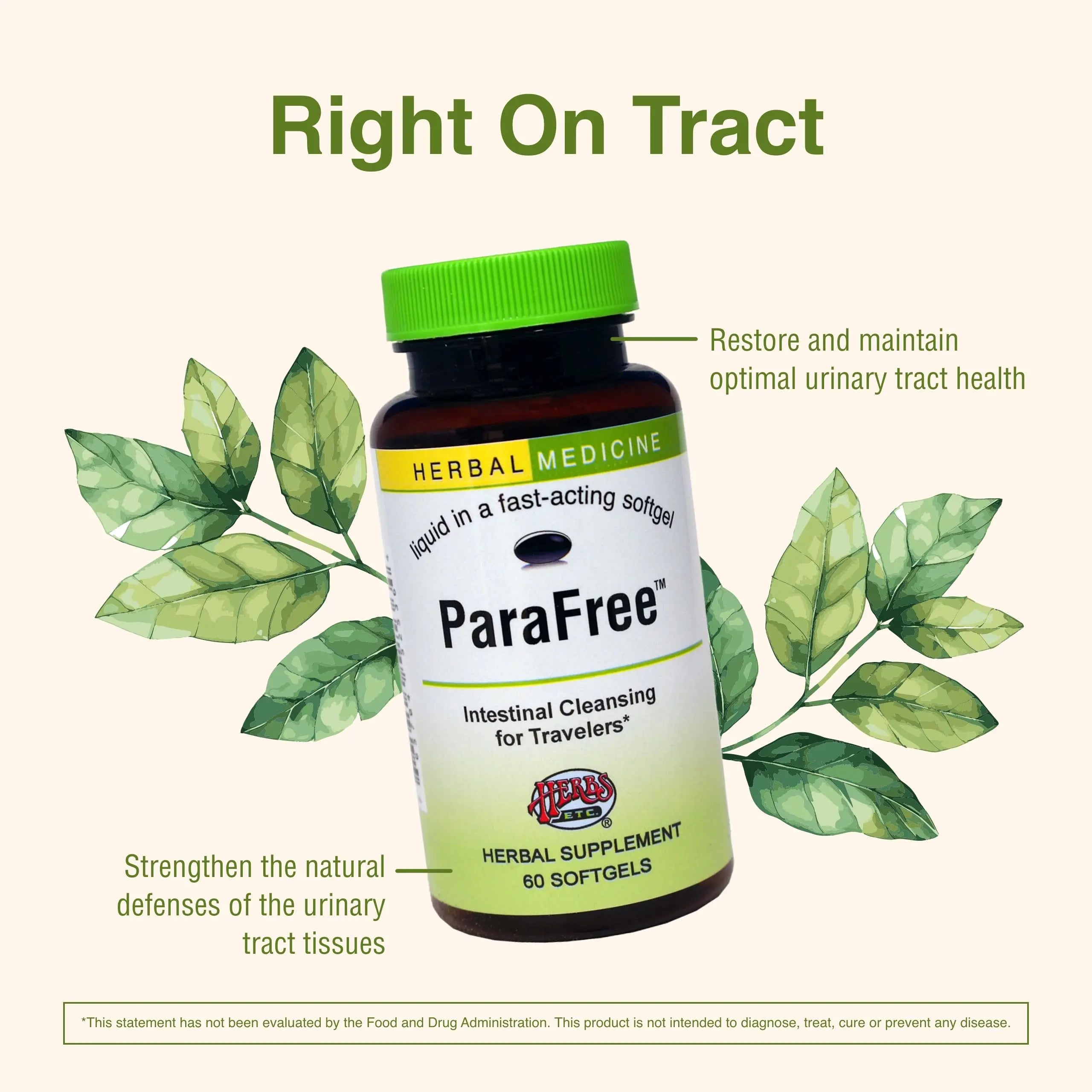 Herbs Etc. CranBladder ReLeaf Softgels - Bladder Health Support - Natural Supplement Formula to Aid Urinary Health & Comfort - Optimal Urinary Support with Cranberry - 60 Softgels (60 Servings) Herbs Etc. Au supplements