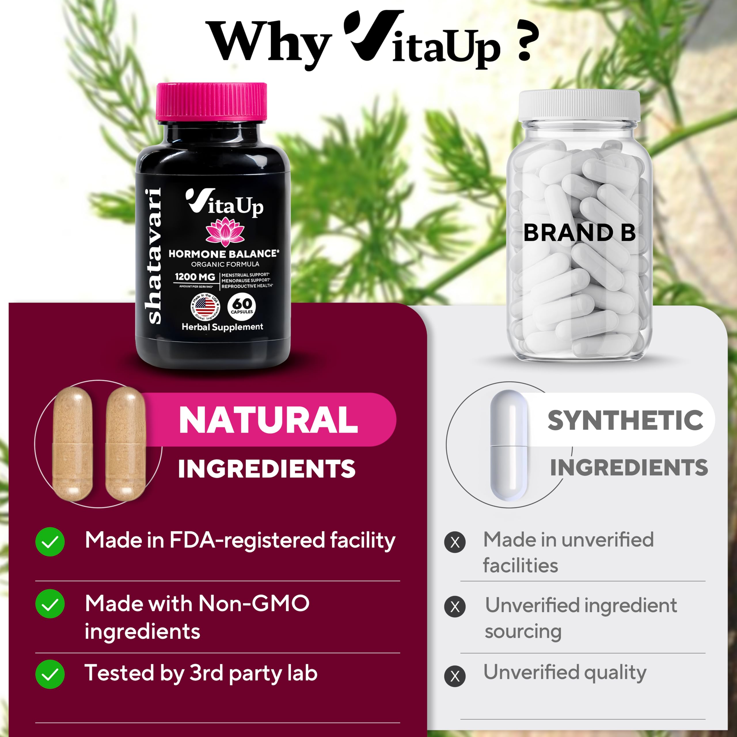 VitaUp Shatavari Capsules for Women 1200mg - USA Made Shatavari Root Supplement for Normal Hormonal Support, Menopause & Menstrual Wellness - 60 Vegan Capsules VitaUp Au supplements