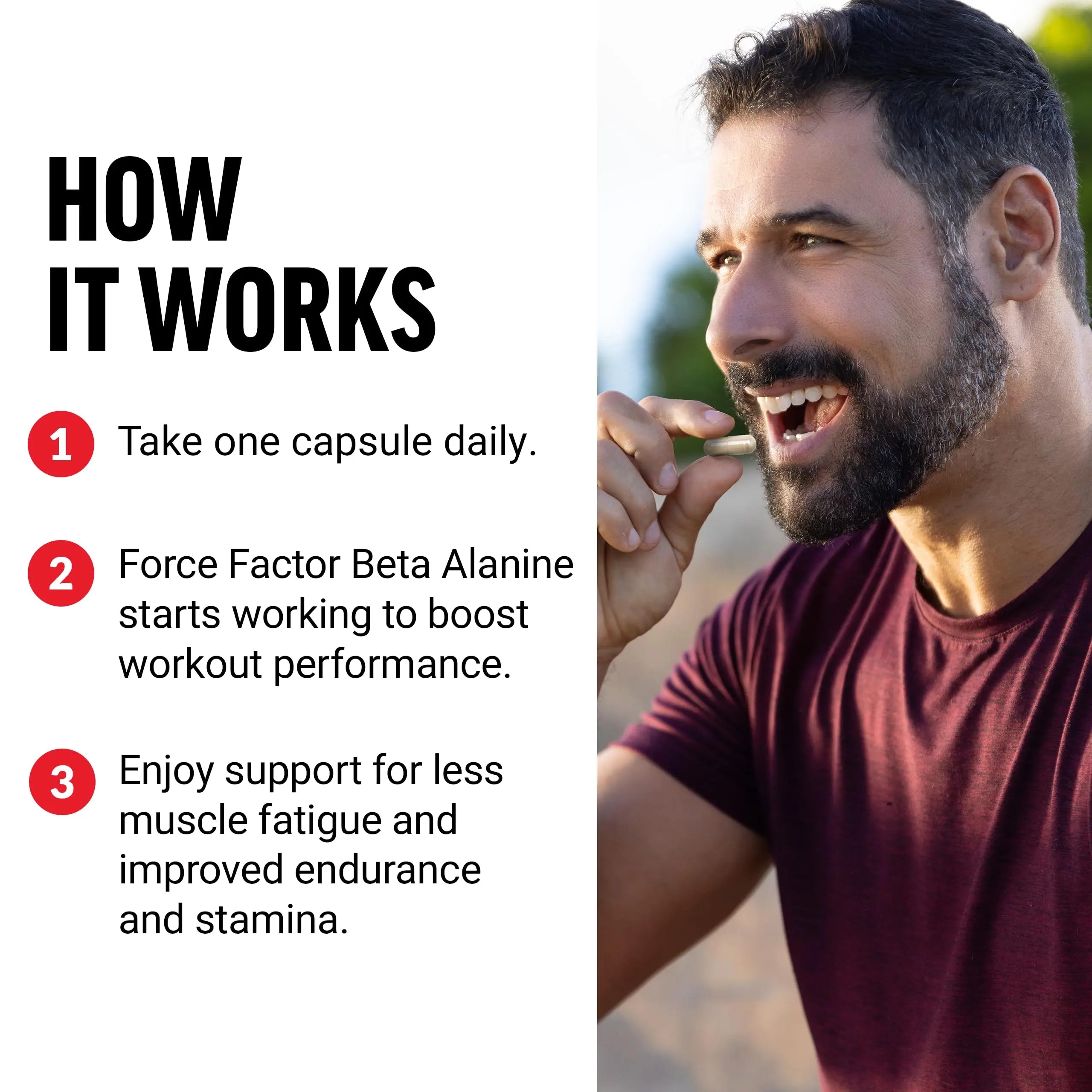 FORCE FACTOR Beta Alanine Capsules, Beta-Alanine Endurance Supplement to Boost Force Factor Au supplements