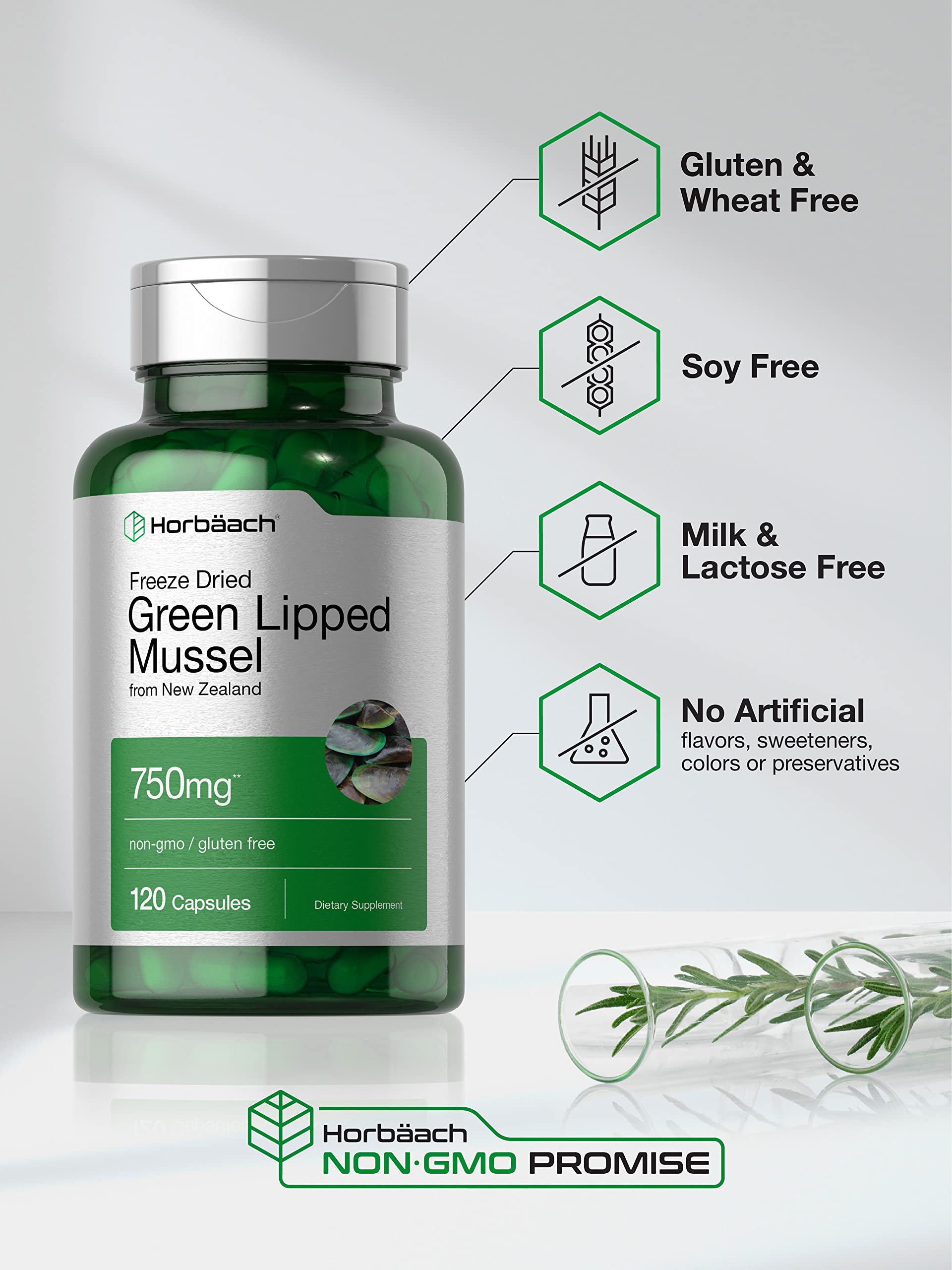 Horbäach Green Lipped Mussel |120 Capsules | from New Zealand | Premium Freeze Dried Mussel Powder