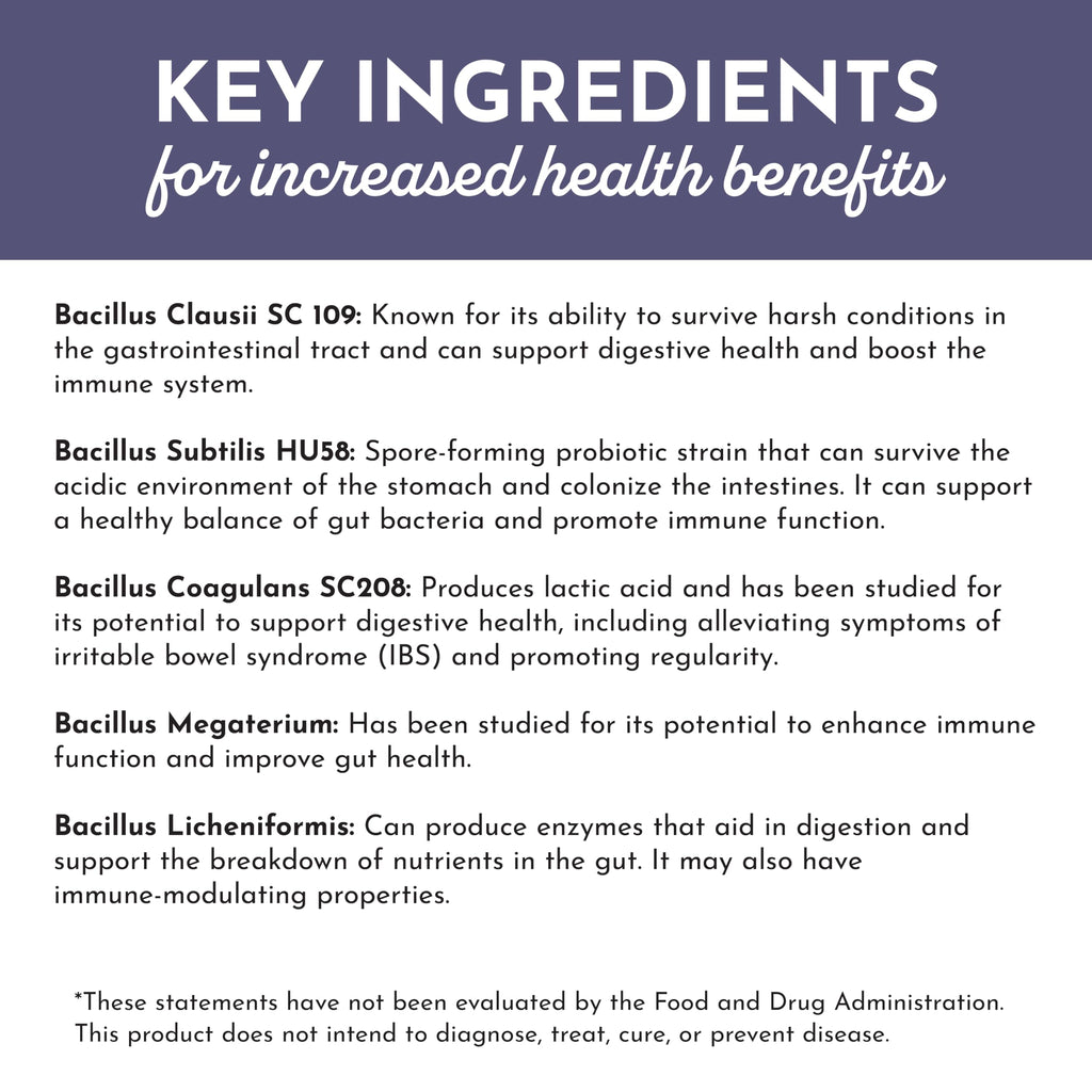 JUST INGREDIENTS Elderberry Lemonade 3-in-1 Probiotic Complex - Prebiotics, Probiotics & Postbiotics - 30 Sticks JUST INGREDIENTS Au supplements
