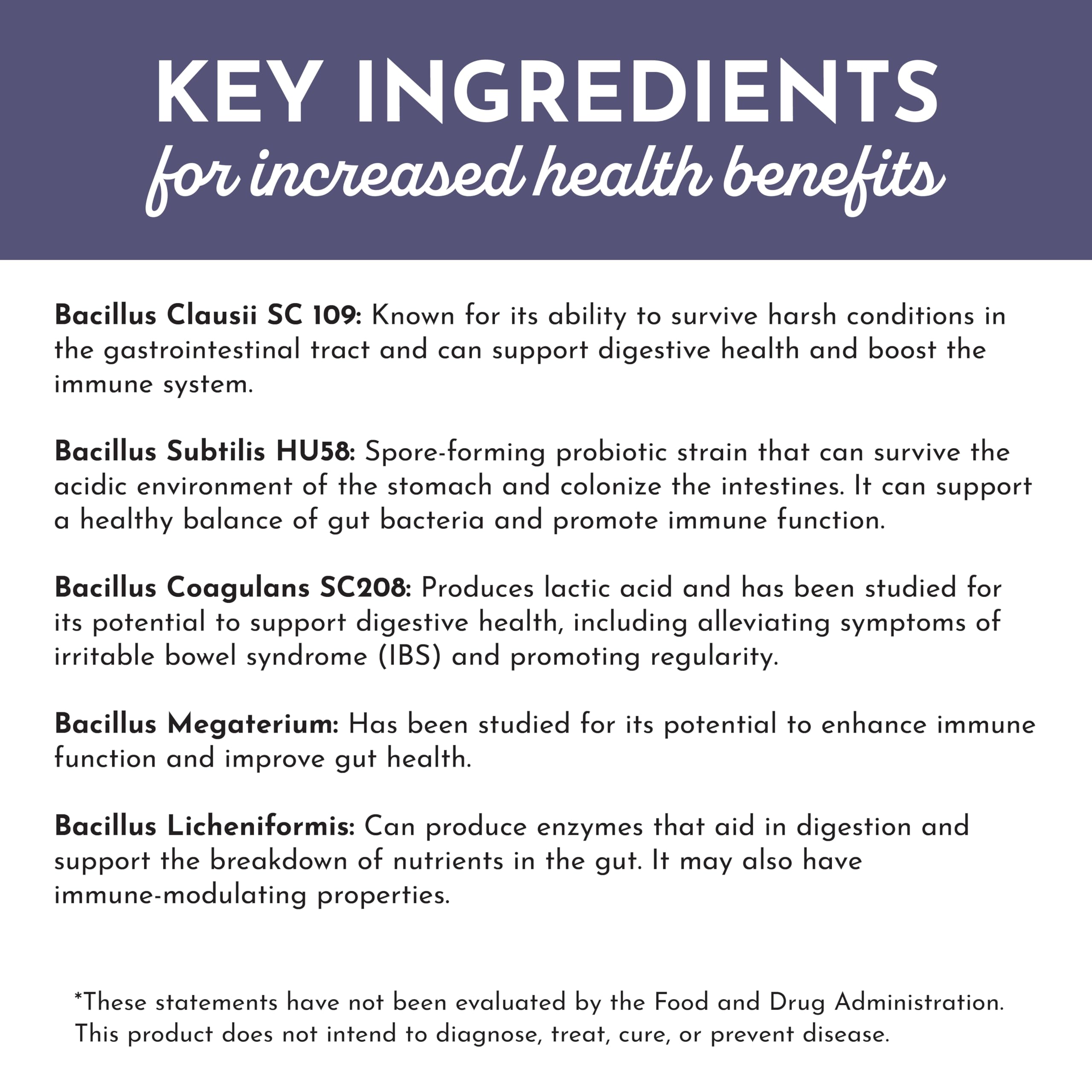 JUST INGREDIENTS Elderberry Lemonade 3-in-1 Probiotic Complex - Prebiotics, Probiotics & Postbiotics - 30 Sticks JUST INGREDIENTS Au supplements