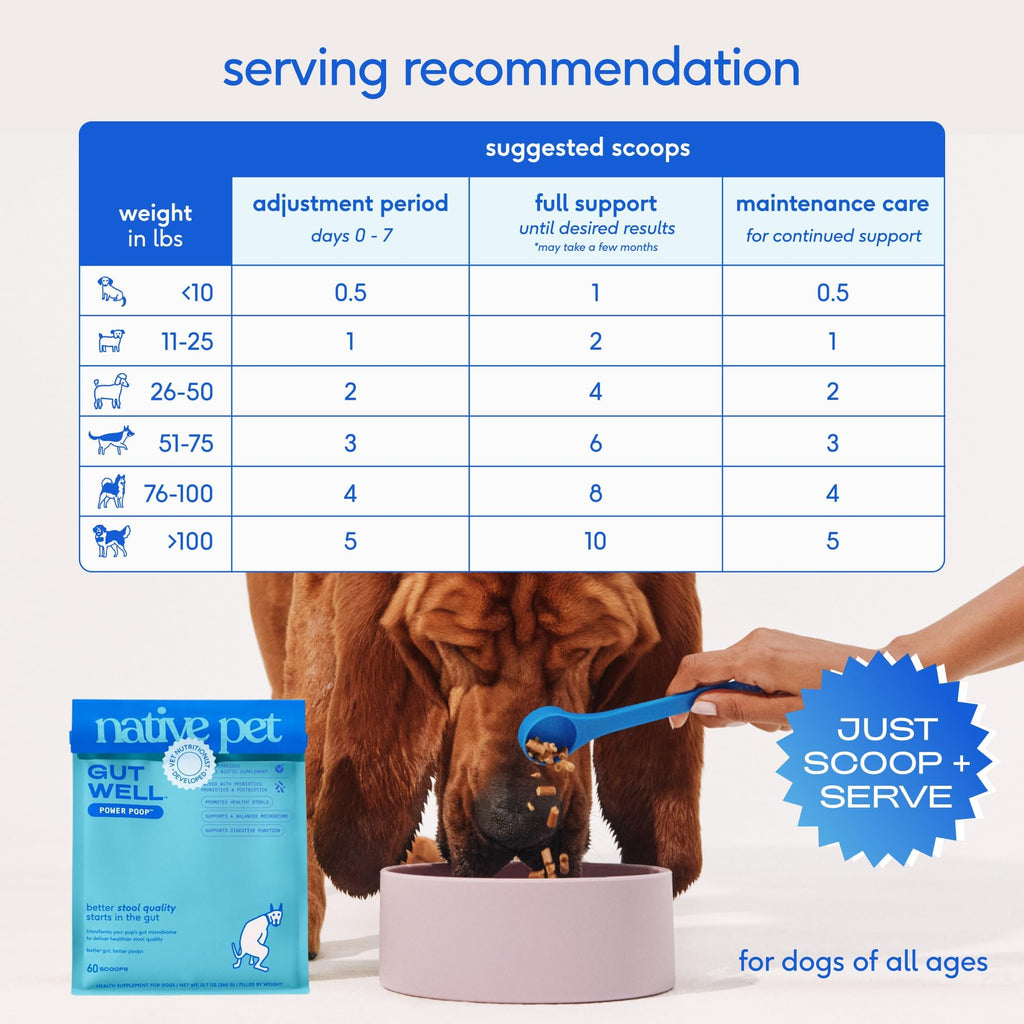 GutWell Power Poop - Digestive Enzymes & Fiber for Dogs - Dog Fiber Supplements Help with Diarrhea Relief, Upset Stomach, Pet Gas & Gut Health with Targeted Triple-Biotic Blend & M-Fiber - 60 Scoops Native Pet Au supplements