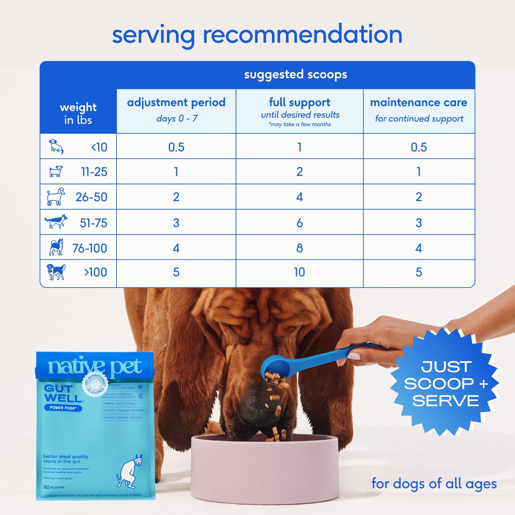 GutWell Power Poop - Digestive Enzymes & Fiber for Dogs - Dog Fiber Supplements Help with Diarrhea Relief, Upset Stomach, Pet Gas & Gut Health with Targeted Triple-Biotic Blend & M-Fiber - 60 Scoops Native Pet Au supplements