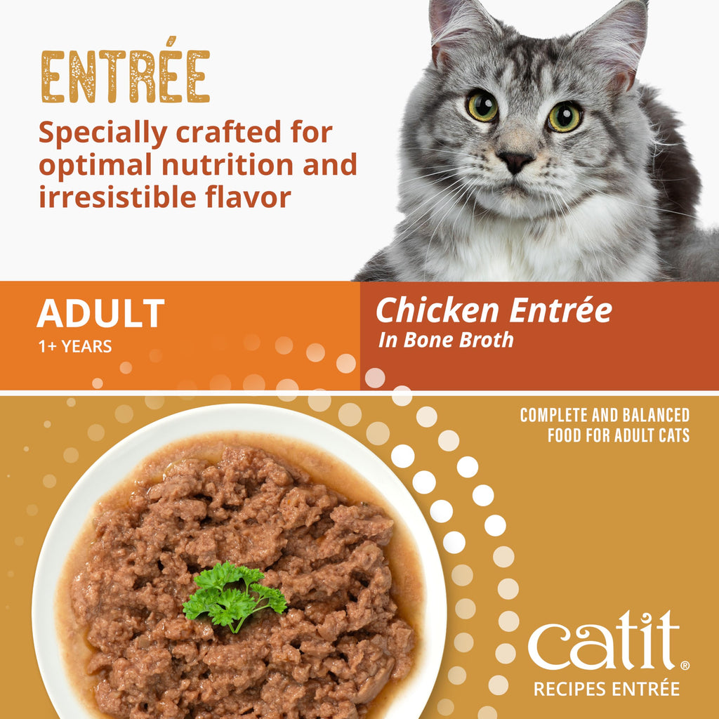 Catit Recipes Adult Chicken Entrée – High-Protein Wet Cat Food with Bone Broth Hydration, Prebiotics & Postbiotics for Gut Health, Omega-3 for Skin & Coat, and Taurine for Heart Support 3oz (12/cs) Catit Au supplements