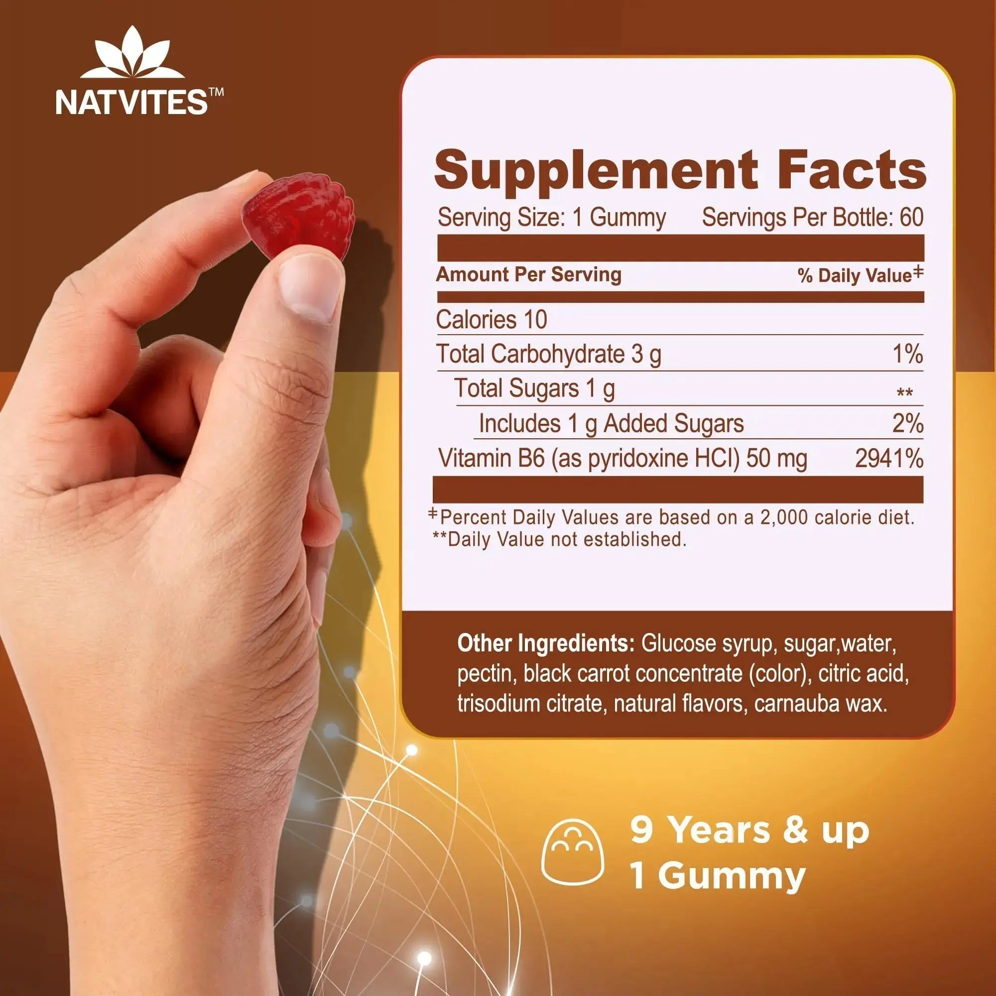 Natvites High-Potency Vitamin B6 Gummies for Kids - Delicious Berry Flavored VIT B6 Vitamins 50mg - Supports Nerve Function - Vegetarian Gluten Free Non-GMO Children's 50 mg B 6 Supplement (60 Count) Natvites Au supplements