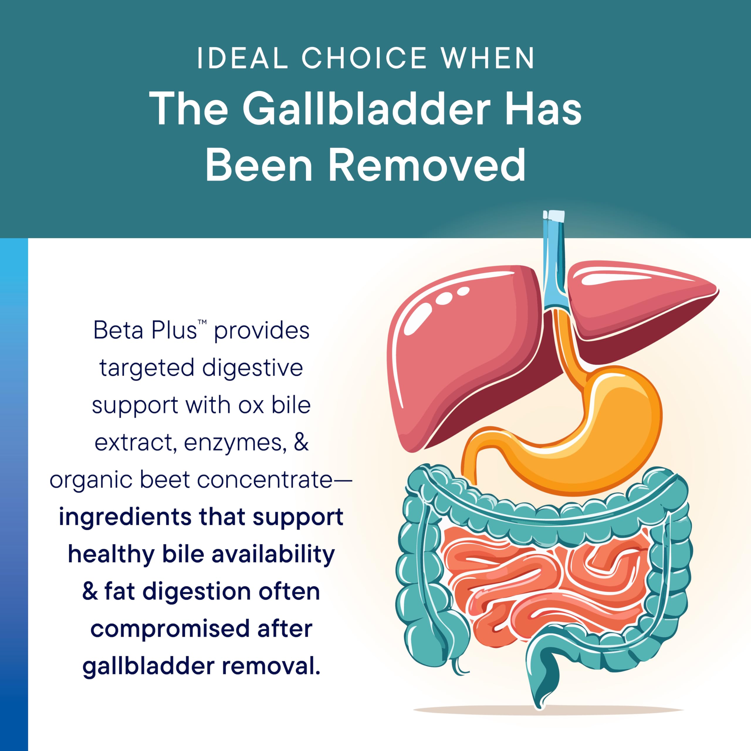 Biotics Research Beta-Plus™ Nutritional Ox Bile Salts Digestive Enzymes Supplement for Bile Production for No Gallbladder-Supports Overall Liver Function,