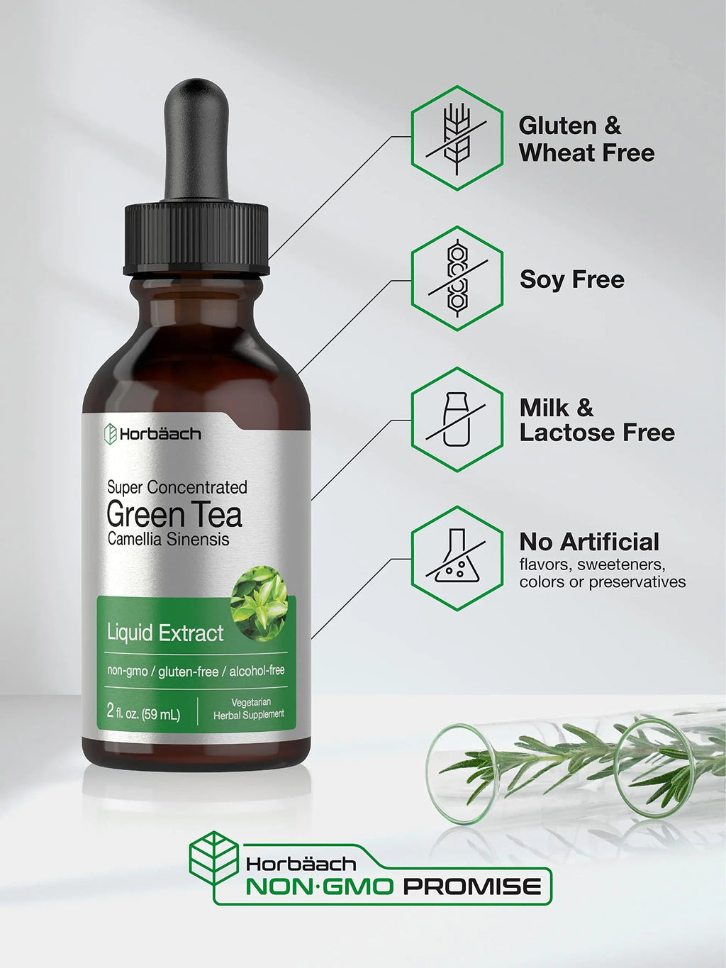Green Tea Extract Liquid | 2 Fl Oz | Alcohol Free, Vegetarian Tincture | Super Concentrated Horbäach Au supplements