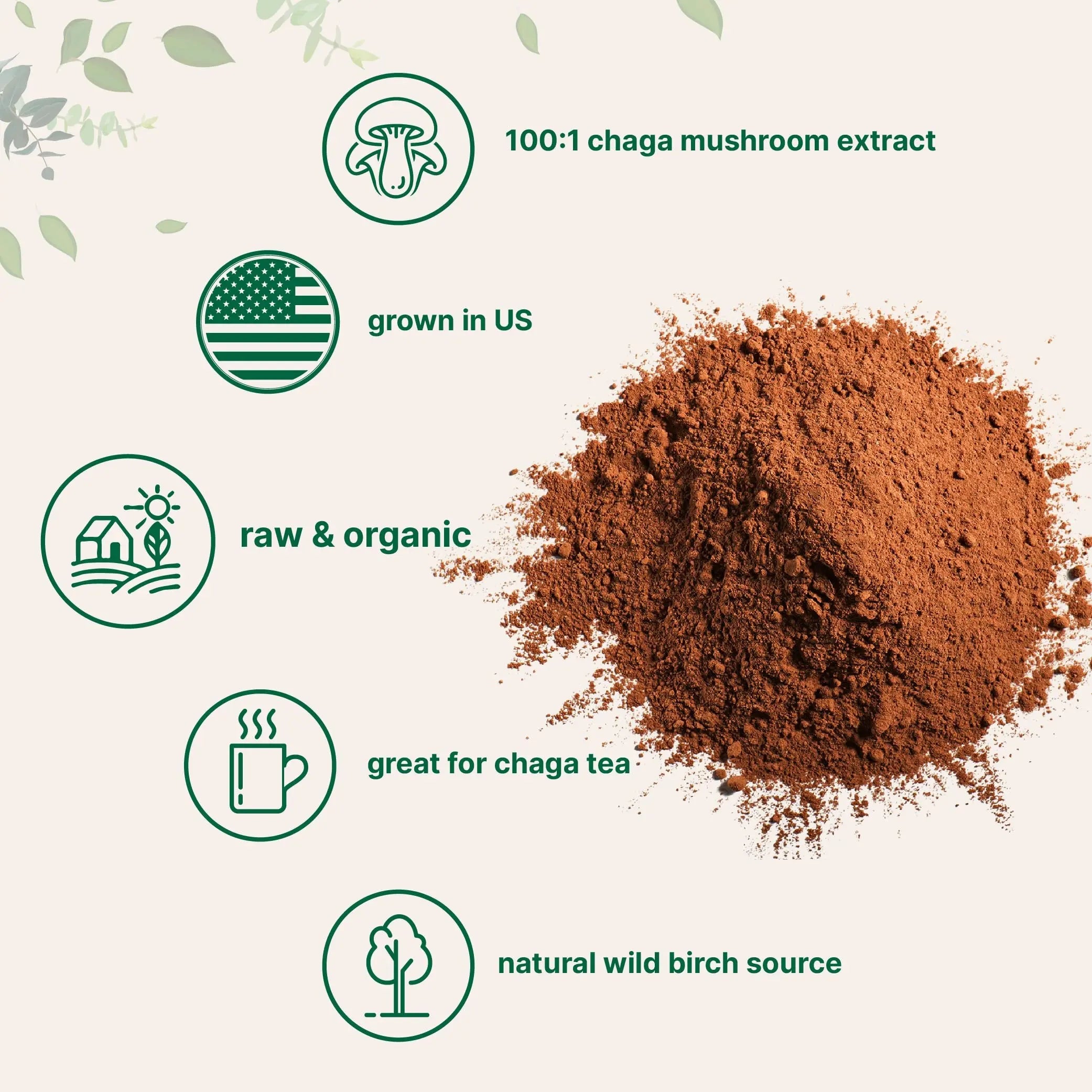 Micro Ingredients Organic Chaga Mushroom Extract 100:1 Powder, 10 Ounce Micro Ingredients Au supplements