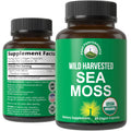 Organic Sea Moss Capsules. Wild Harvested Sea Moss Raw Organic Vegan Supplement from Red Algae Seaweed. 100% Whole Extract Raw Irish SeaMoss Superfood Pills. for Gut, Respiratory, Immune Support. Peak Performance Au supplements