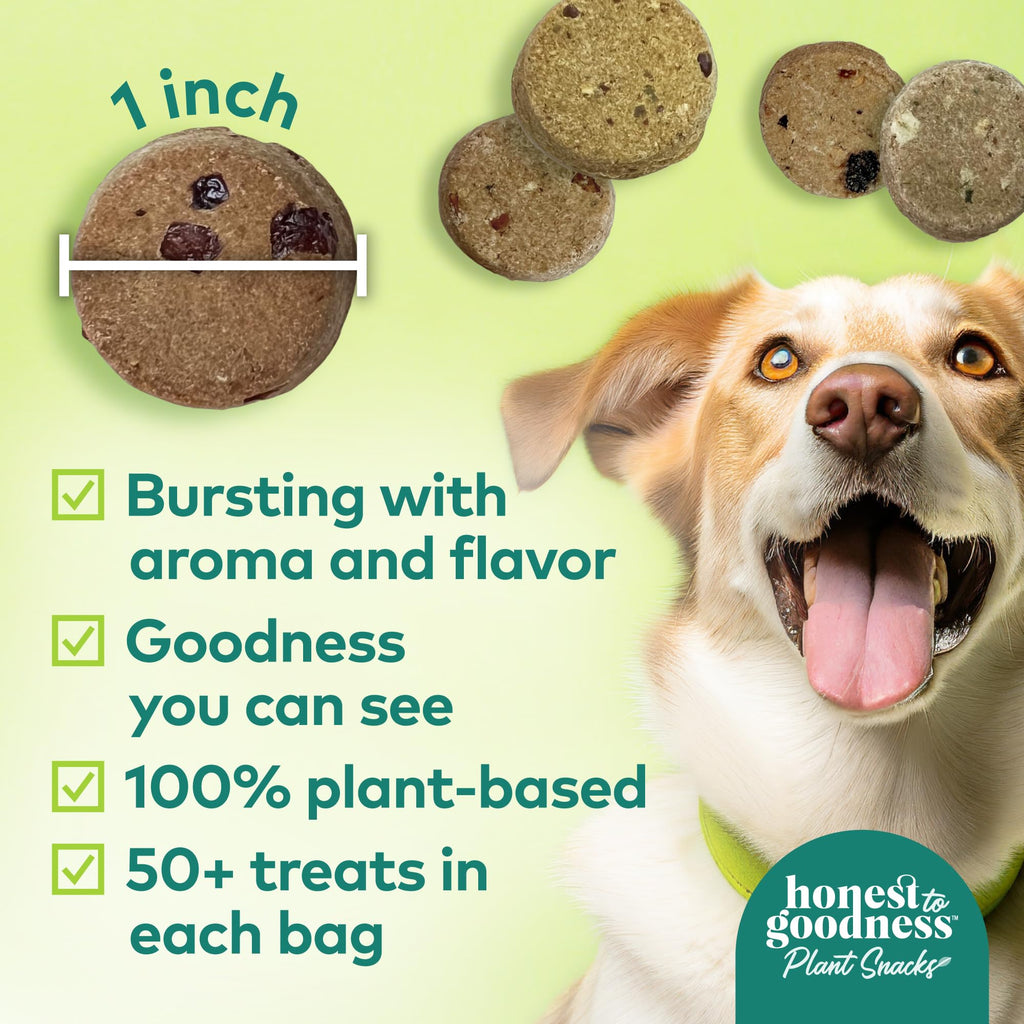 Honest to Goodness Plant Snacks Dog Treats, Enriched with Omega 3s & Postbiotics, 8oz Variety Pack, 6 Bags Honest to Goodness Au supplements