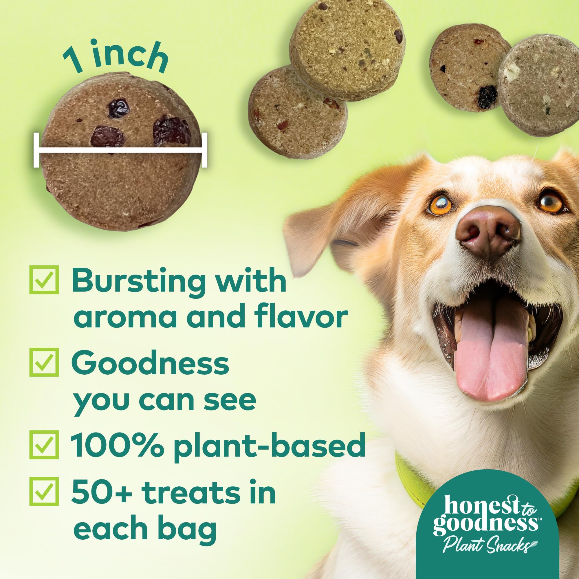 Honest to Goodness Plant Snacks Dog Treats, Enriched with Omega 3s & Postbiotics, 8oz Variety Pack, 6 Bags Honest to Goodness Au supplements