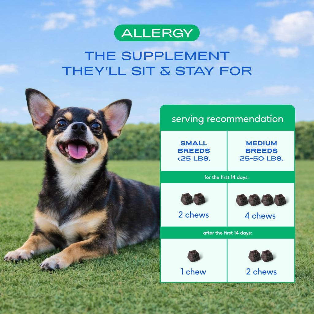 Native Pet Dog Allergy Chews - Dog Allergy Relief for Medium Breeds - Supports Seasonal Itch Relief, Healthy Immune Function & Reduces Sneezing - Colostrum, Spirulina, & Probiotics - 30 Days Supply Native Pet Au supplements