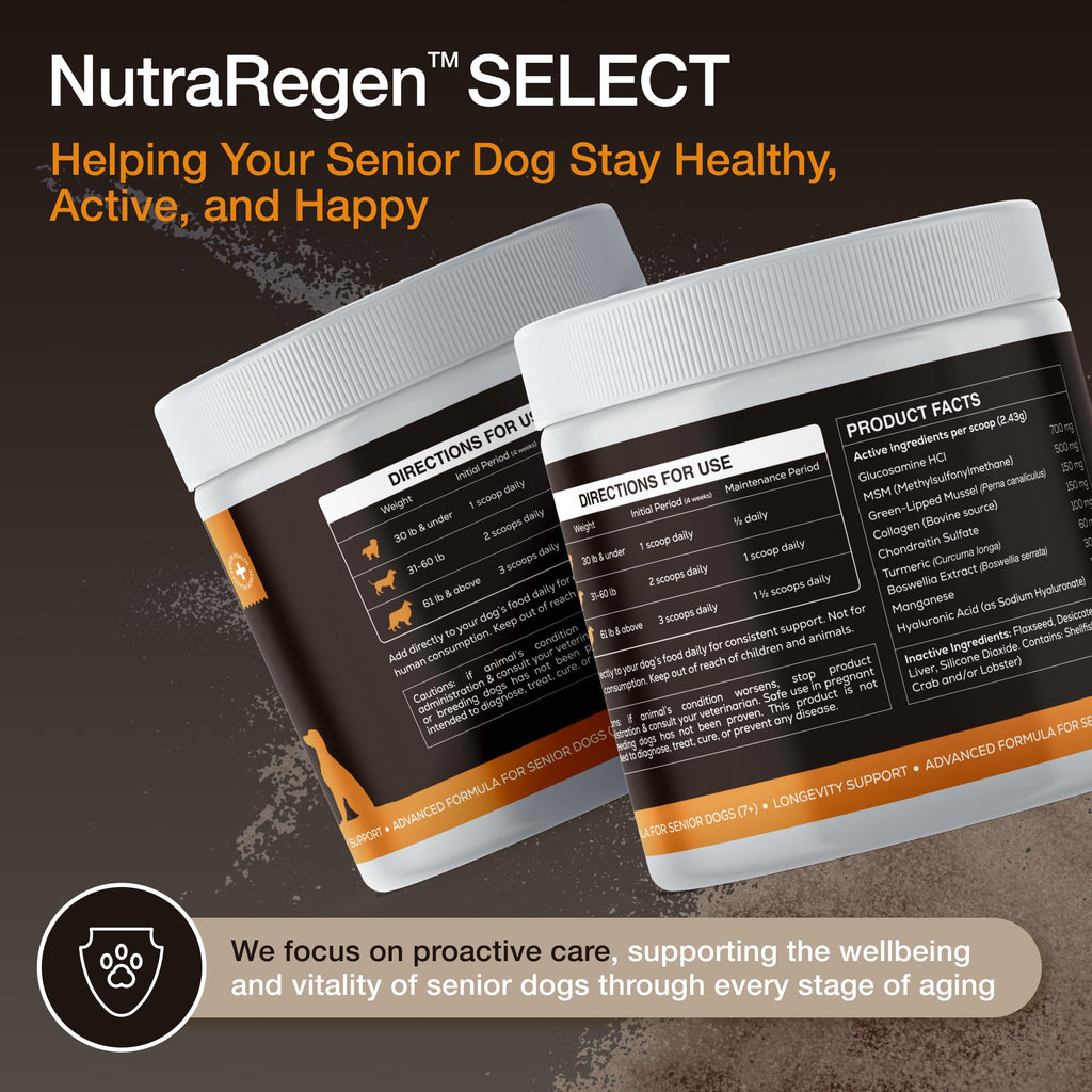 NutraRegen Select Senior Dog Joint Supplement 45 Scoops | Natural Glucosamine Chondroitin for Dogs with Collagen | Hip and Joint Powder | 7.7 Oz NutraRegen Au supplements