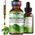 PURA VIDA MORINGA Leaf Extract Liquid Drops - USDA Organic Certified - Highly Purified, Bioavailable & Faster Absorption than Moringa Powder or Capsules