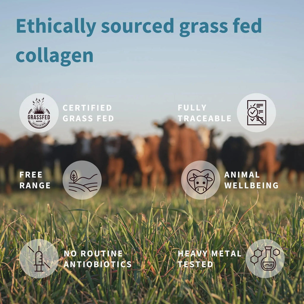 Advanced Hydrolysed Collagen Peptides, 100% Grass Fed & Ethically Sourced Igennus Healthcare Nutrition Au supplements