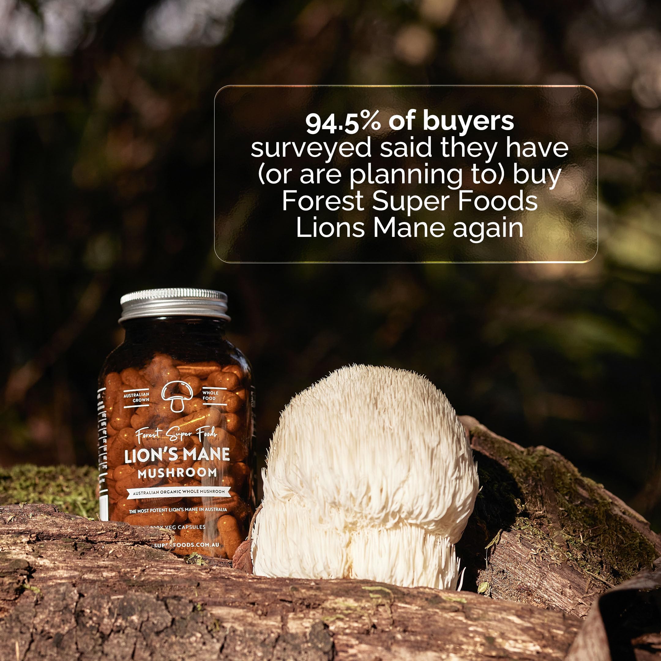 Forest Super Foods Lions Mane Supplement Capsules (120 Capsules) Organic Lions Mane Mushroom | Memory Lift Brain Supplement for Focus and Productivity. Lion Mane, Grown & Made in Australia