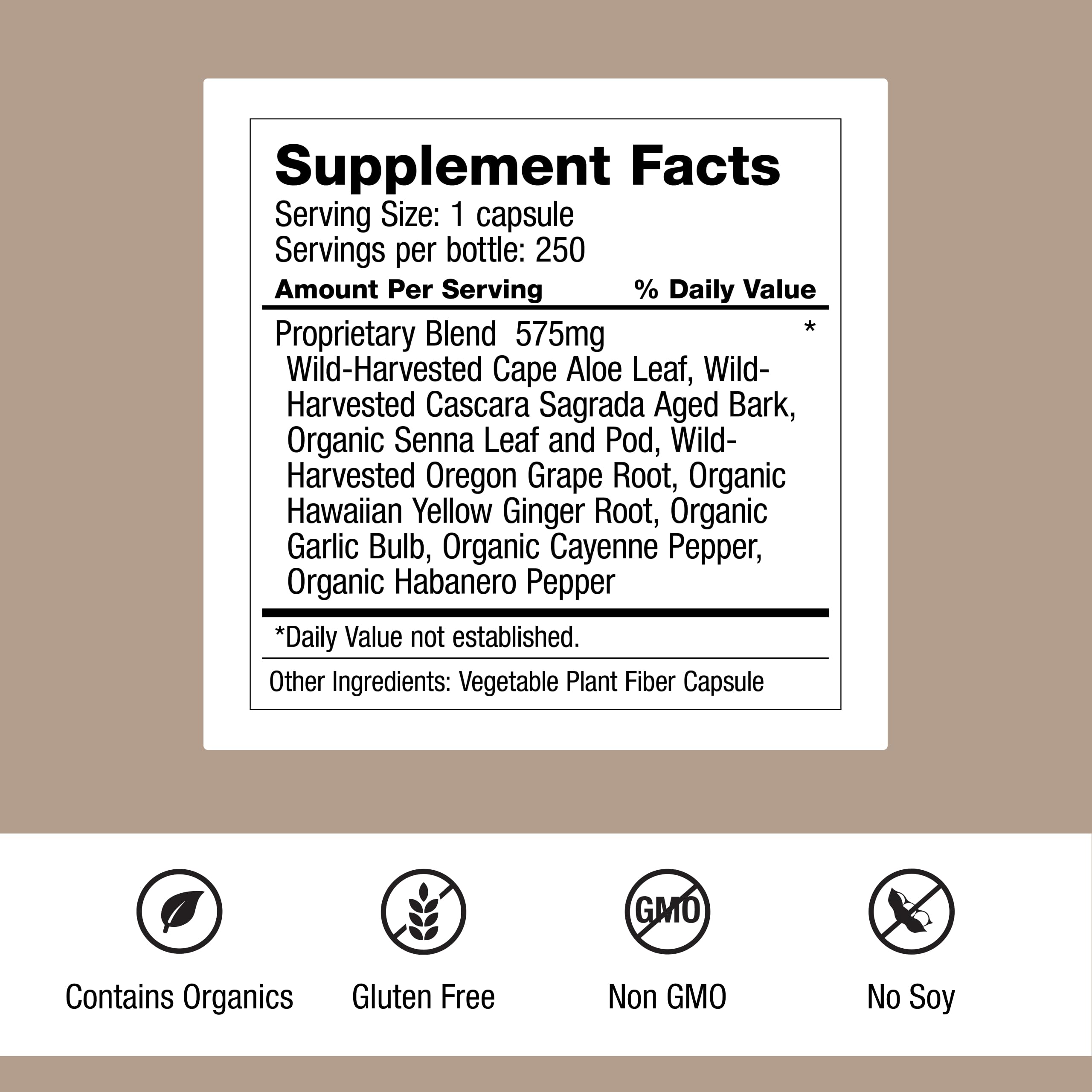 Dr. Schulze's Intestinal Formula #1 - Bowel Movement Supplement for Colon Health Support - Bloating & Constipation Aid - Intestinal Cleanse - All-Natural - Plant-Based - Vegan - 250 Count Dr. Schulze's Au supplements