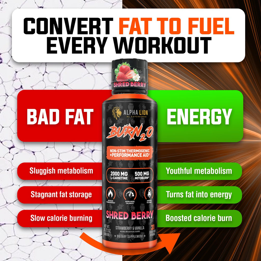 ALPHA LION Burn2O L-Carnitine Liquid 2000mg, Premium Liquid Fat Burner & Pre-Workout Supplement for Men & Women - Natural Energy & Metabolism Booster