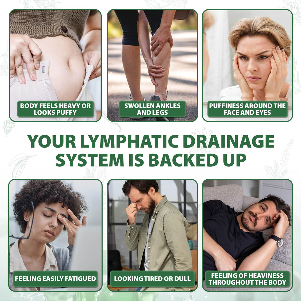 Lymphatic Drainage Capsules Natural Herbal Supplement for Immune Health & Fluid Balance, with Echinacea, Dandelion, and Burdock 60 Capsules