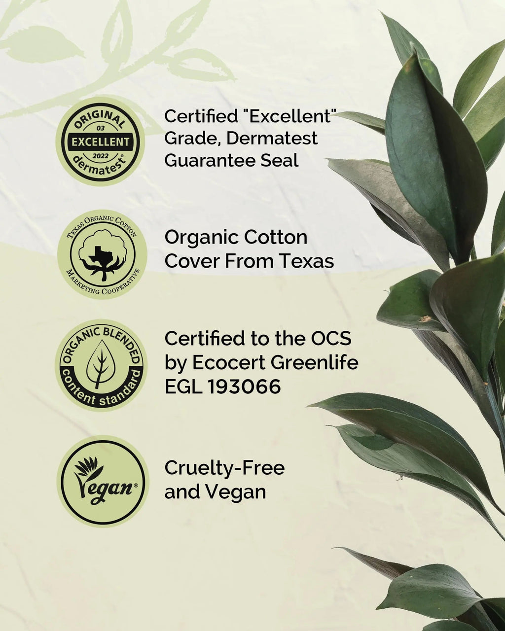 LABON Premium Vegan Organic Sanitary Pads (Regular, 25cm, 32 Counts) - 100% Organic Cotton Cover OCBON Au supplements