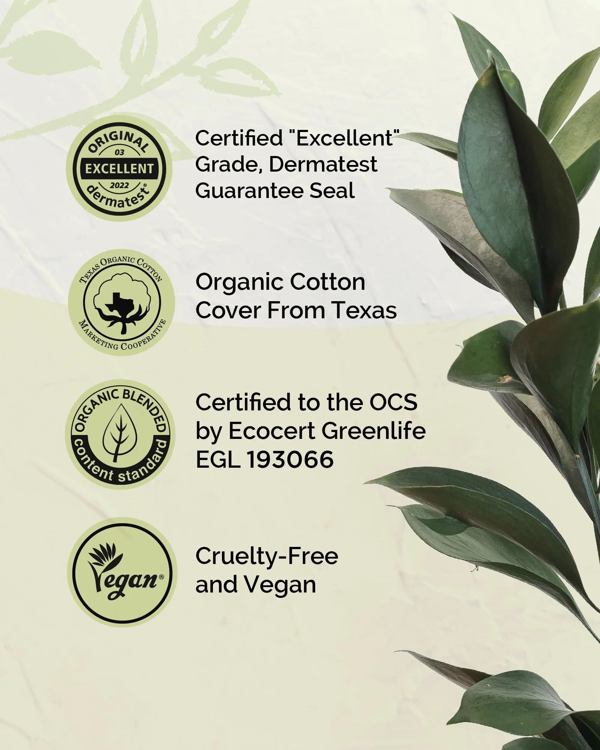 LABON Premium Vegan Organic Sanitary Pads (Regular, 25cm, 32 Counts) - 100% Organic Cotton Cover OCBON Au supplements
