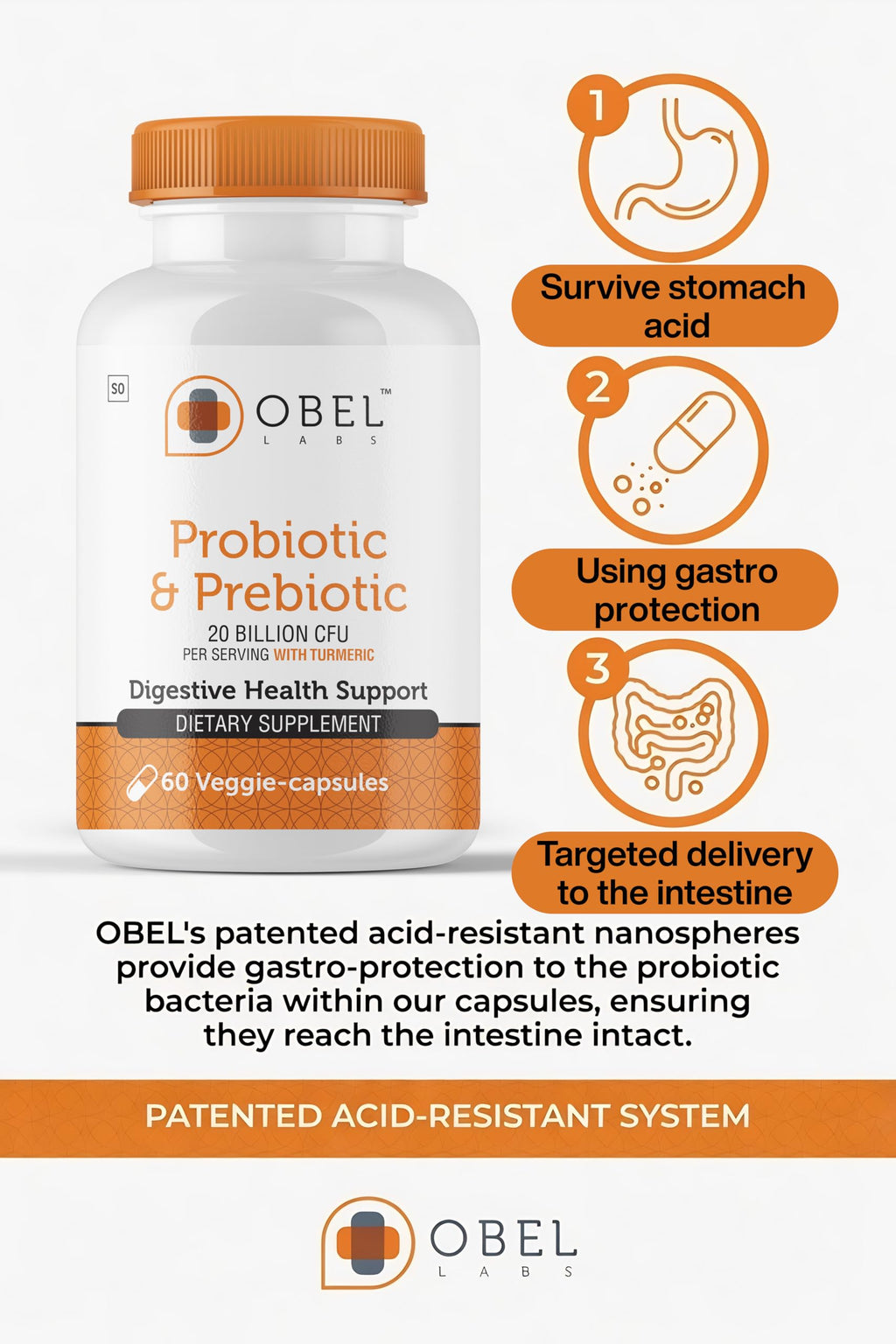 obel Probiotic & Prebiotic Supplement with Turmeric | 20 Billion CFU | 60 Capsules (30 Day Supply) | 4 Strains | Supports Digestion