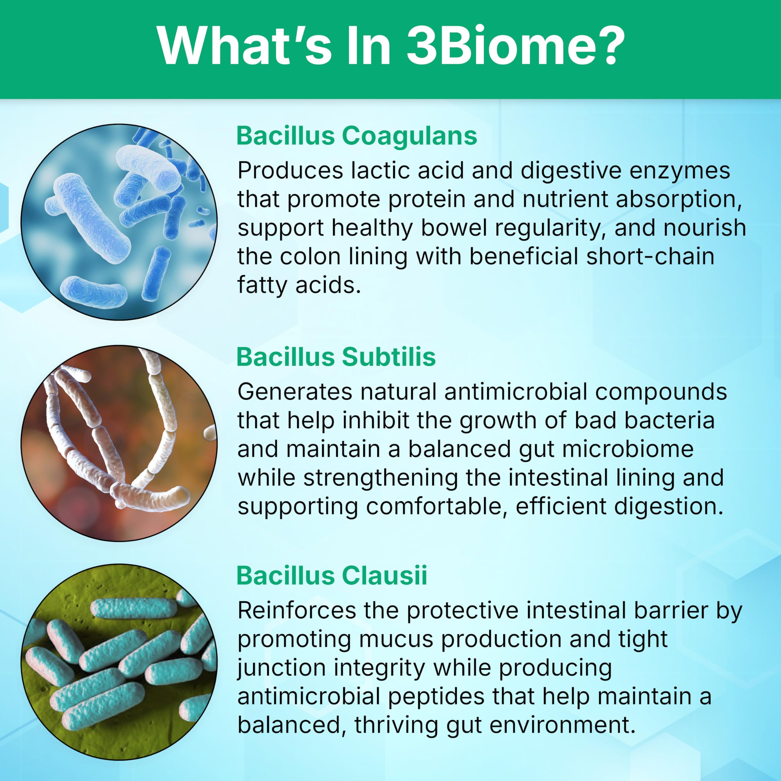 3Biome - Natural Probiotic Supplement - Non-GMO, Vegan, Gluten-Free